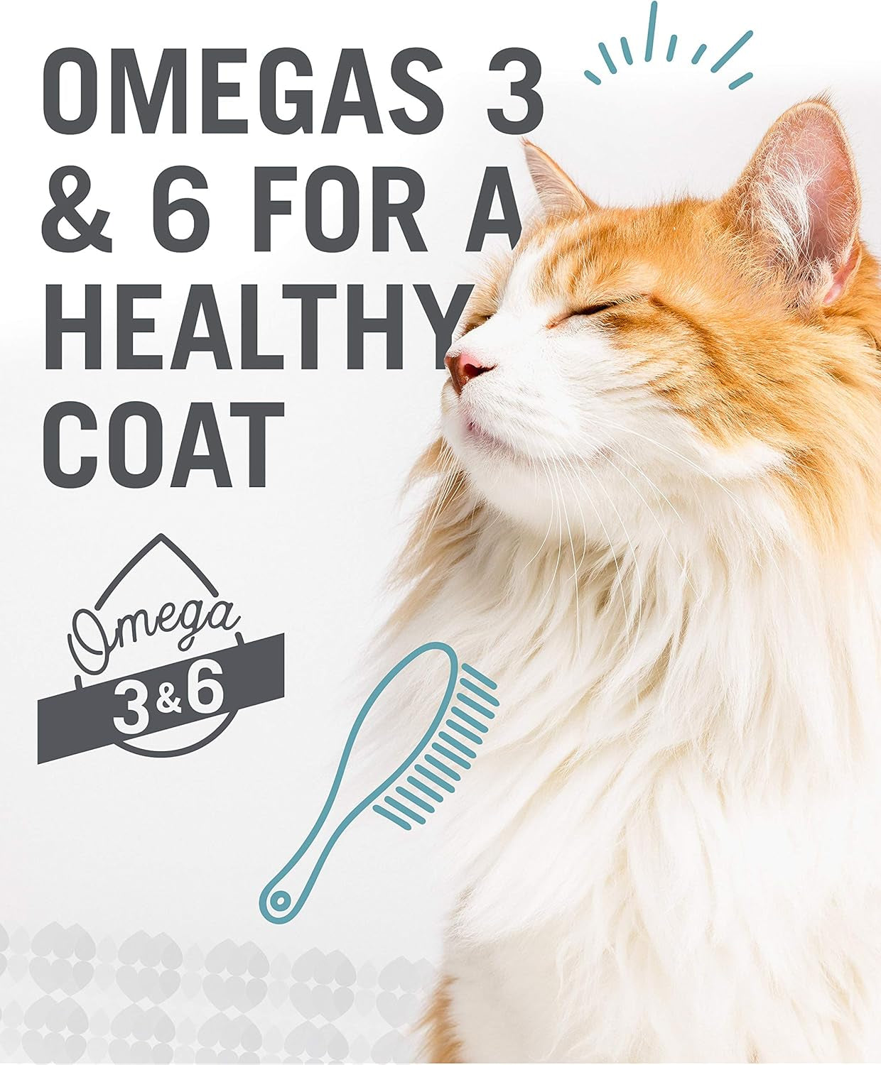 Wet Cat Food - Ninja Cat Jiu Jit Stew Variety Pack - Chicken, Salmon, Tuna, Grain Free, Filler Free, 3Oz Pack of 12 Cans