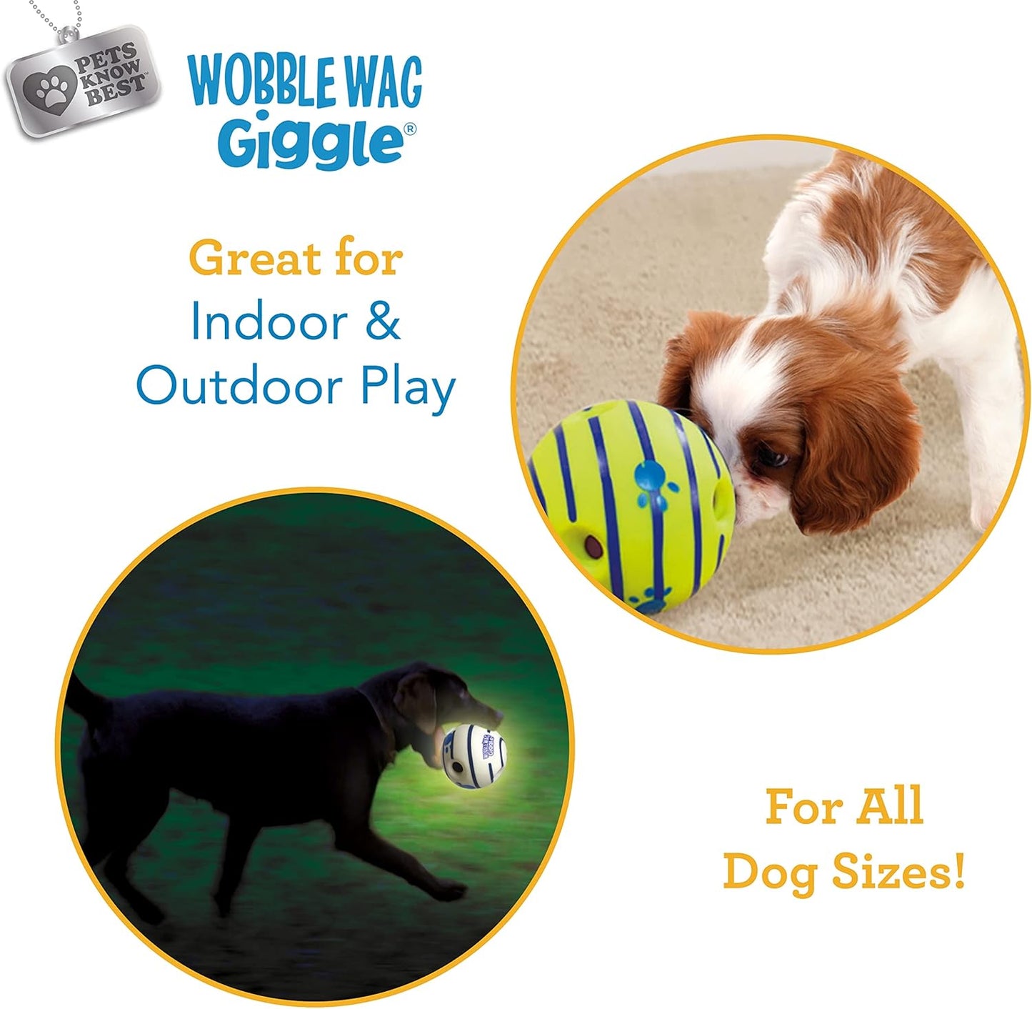 & Glow | Rolling Enrichment Toy for Fun Playtime, Interactive Play for Indoor or Outdoor, Keeps Dogs & Puppies Large, Medium or Small Busy & Moving, as Seen on TV | Pack of 2