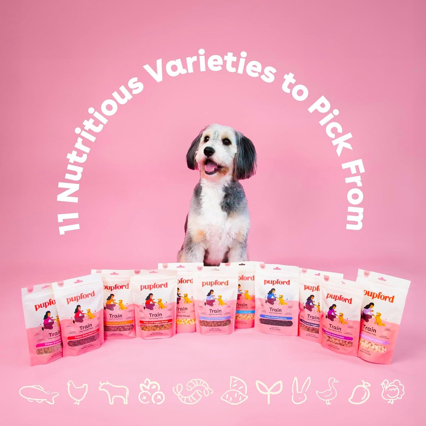 Freeze Dried Training Treats for Dogs & Puppies, 1400+ Two Ingredient Bites (Chicken, 4 Oz, 3 Pack)
