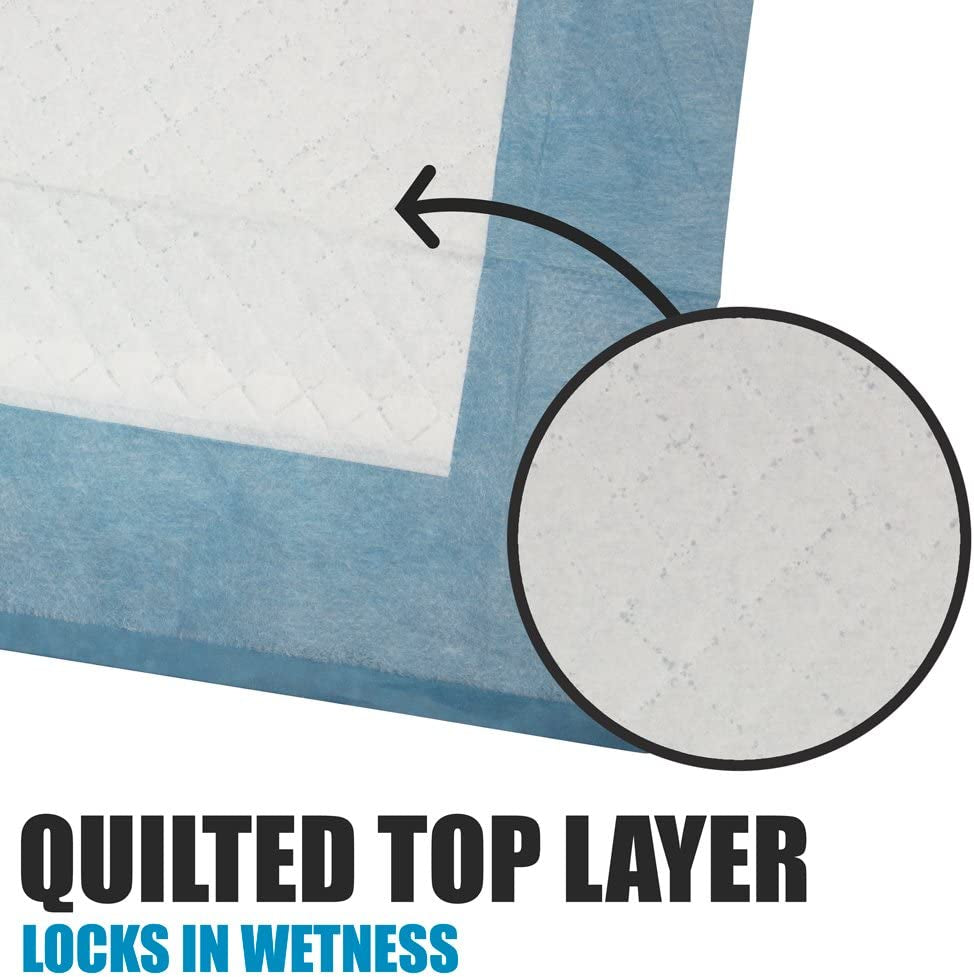 Puppy Pads Leak-Proof 100 Count 22"X 22" - Absorbent Pee Pads for Dogs with 6-Layer Design, Rapid Dry Sheet & Built-In Attractant - Dog Pad with Odor Control, Perfect for Puppies & Senior Dogs