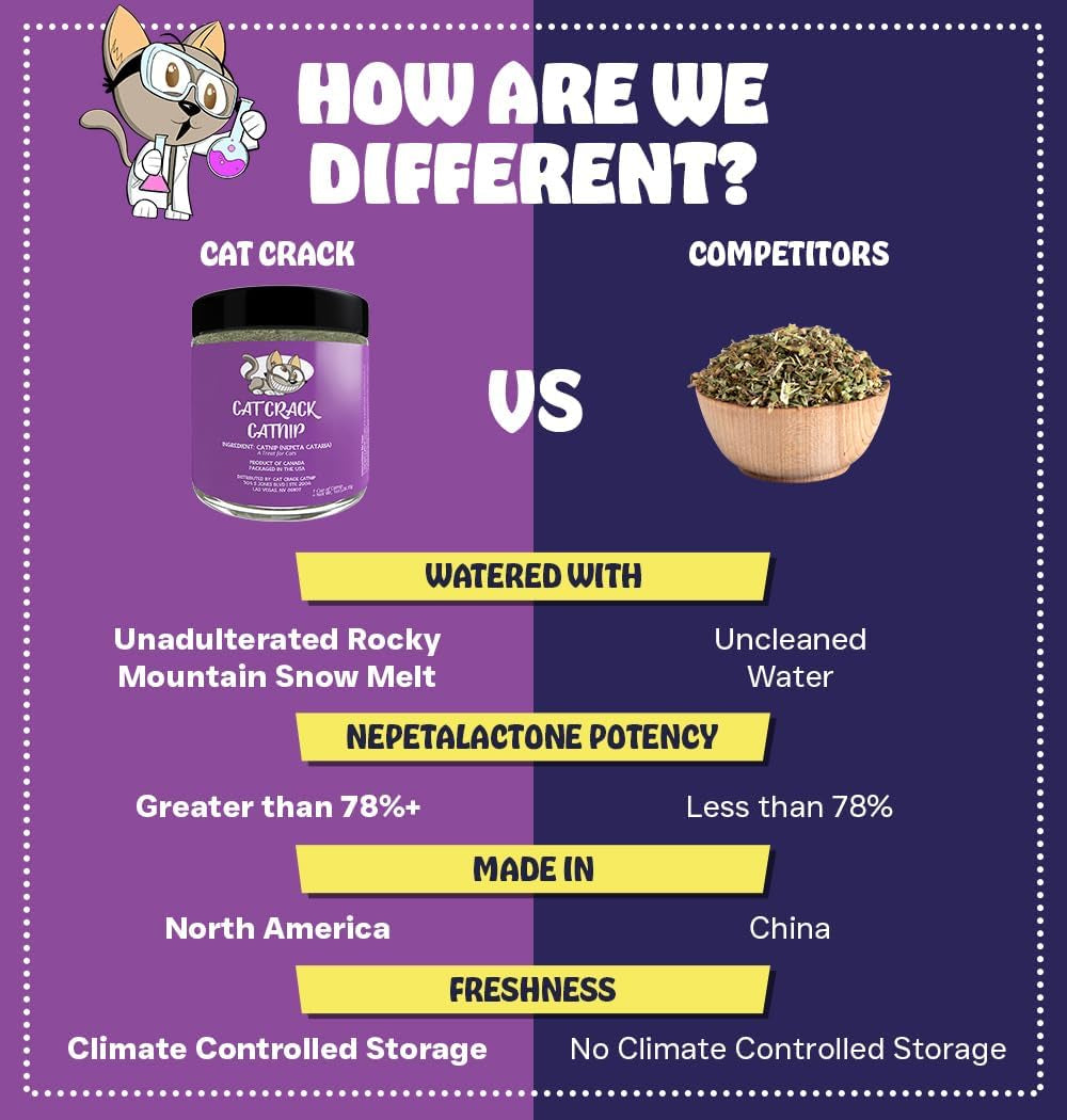 Catnip, Zoomie-Inducing Cat Nip Blend, North American Made & 100% Natural, Safe & Non-Addictive Catnip Treats Used to Supplement Cat Nip Toys, Spray, & Accessories (1 Cup)