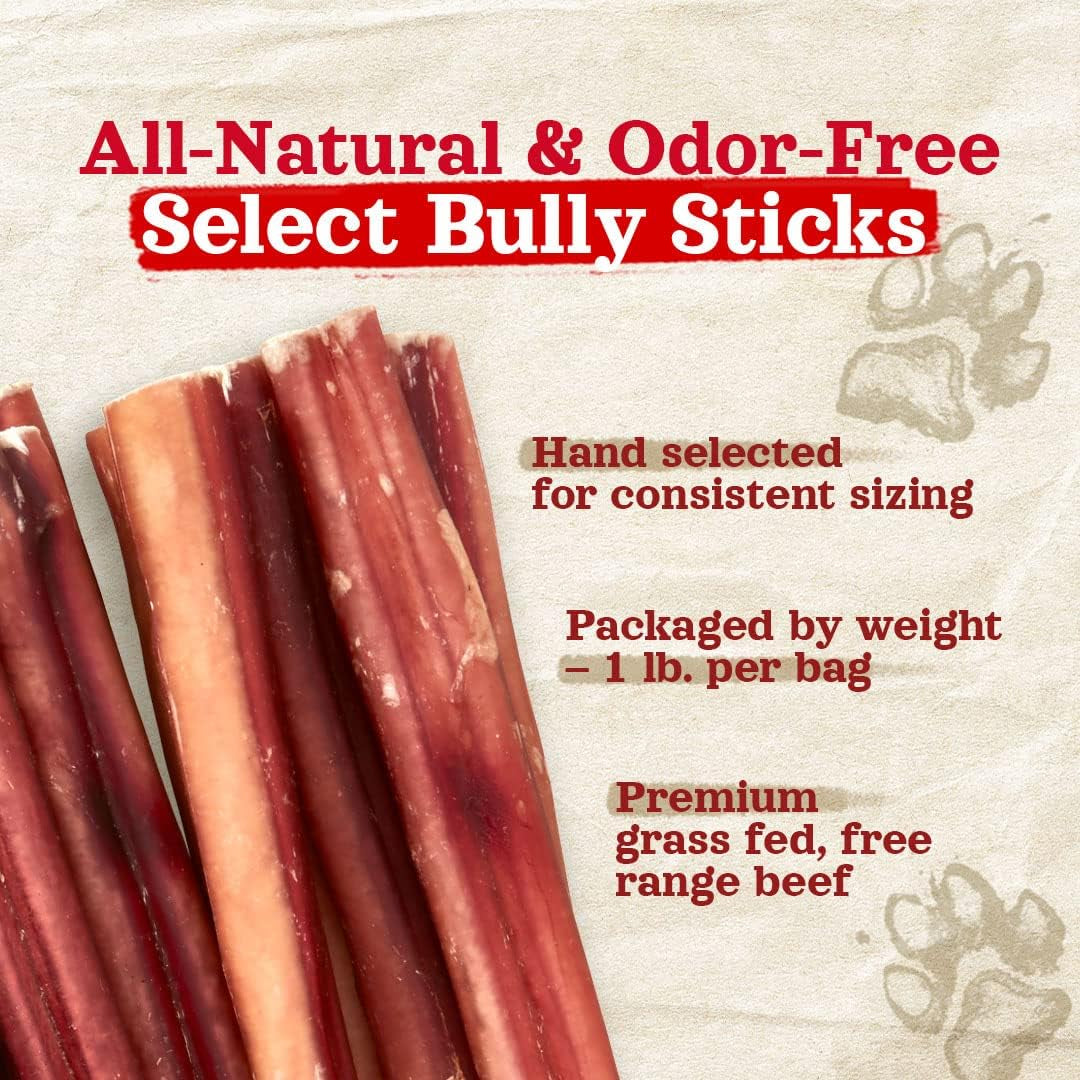 Odor-Free Select Bully Sticks, (12-Inch, 1-Pound), Hand Selected for Consistent Thickness, 100% Beef Pizzle Dog Chews, Fully Digestible, High Protein, Best Dental Treats