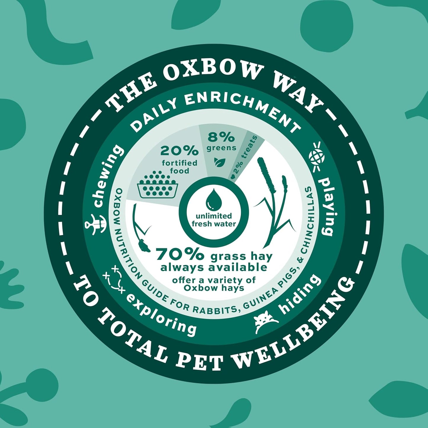Western Timothy Hay for Small Pets – All-Natural Grass Hay for Rabbits, Guinea Pigs, and Chinchillas – High Fiber for Digestive Health and Dental Support – 40 Oz Bag