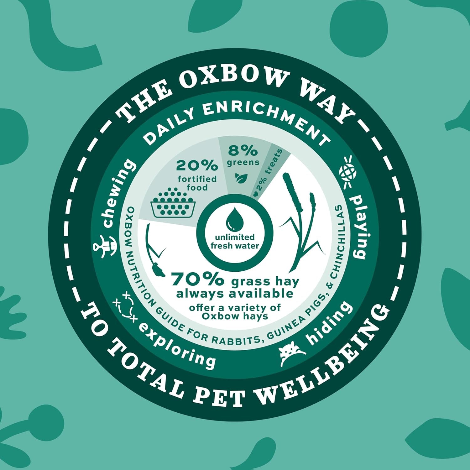 Western Timothy Hay for Small Pets – All-Natural Grass Hay for Rabbits, Guinea Pigs, and Chinchillas – High Fiber for Digestive Health and Dental Support – 40 Oz Bag