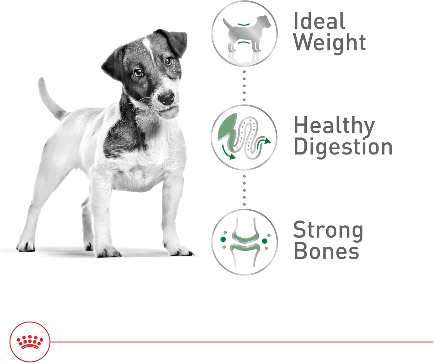 Size Health Nutrition Small Adult Dry Dog Food, 14 Lb Bag