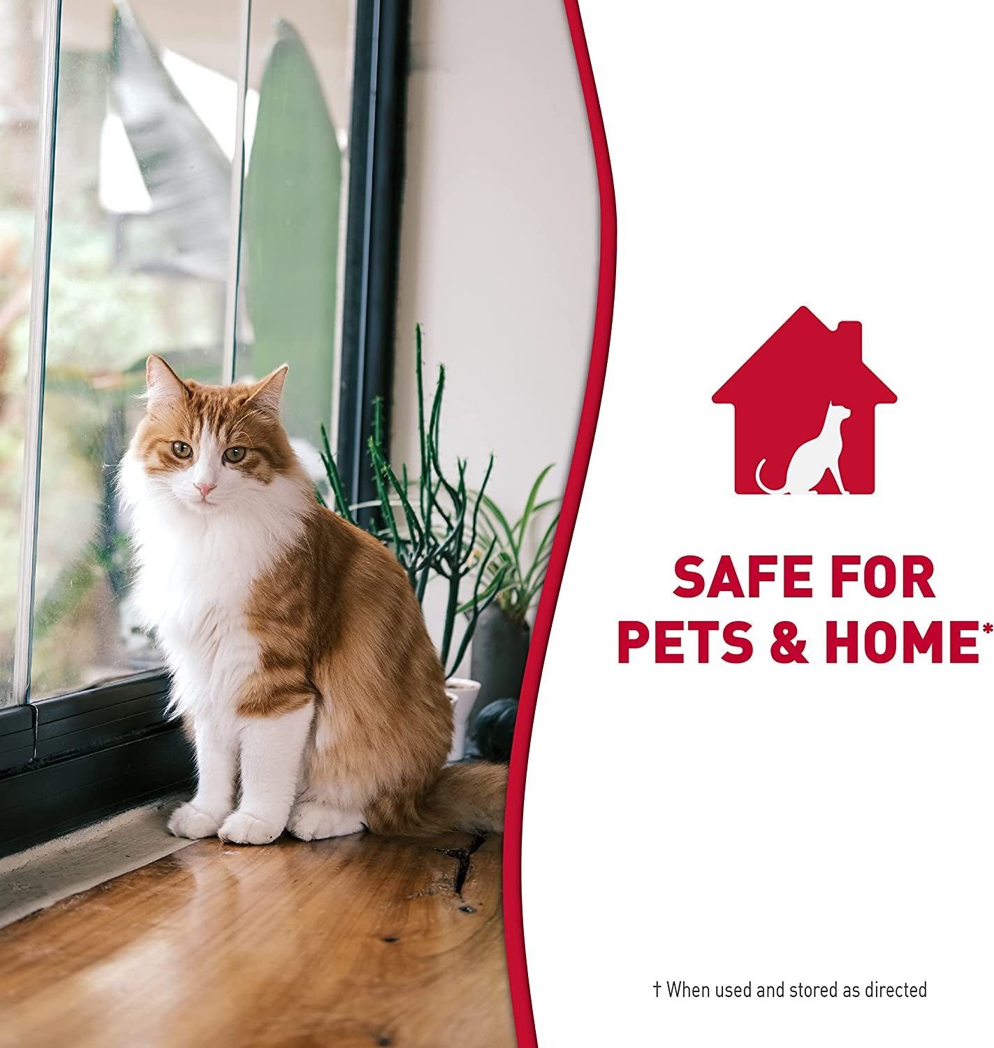 Stain and Odor Remover Cat, Odor Control Formula, Pour