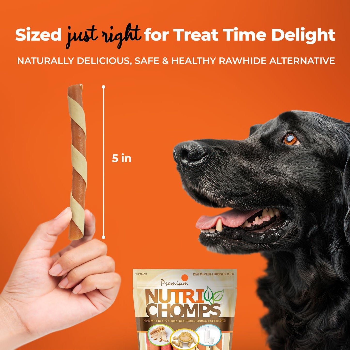 Nutrichomps Dog Chews, 5-Inch Twists, Easy to Digest, Rawhide-Free Dog Treats, 12 Count, Real Chicken, Peanut Butter and Milk Flavors