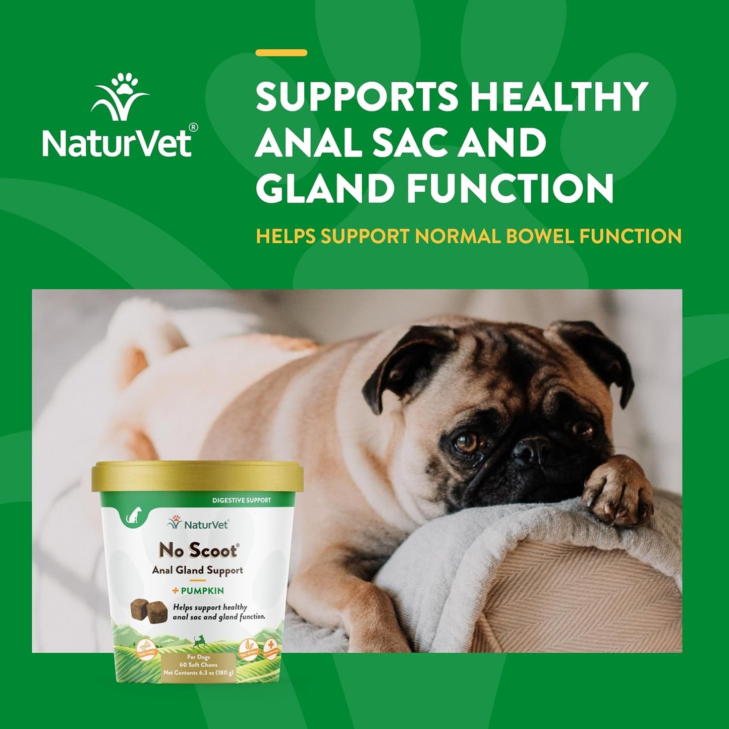 - No Scoot for Dogs - 60 Soft Chews - plus Pumpkin - Supports Healthy Anal Gland & Bowel Function - Enhanced with Beet Pulp & Psyllium Husk