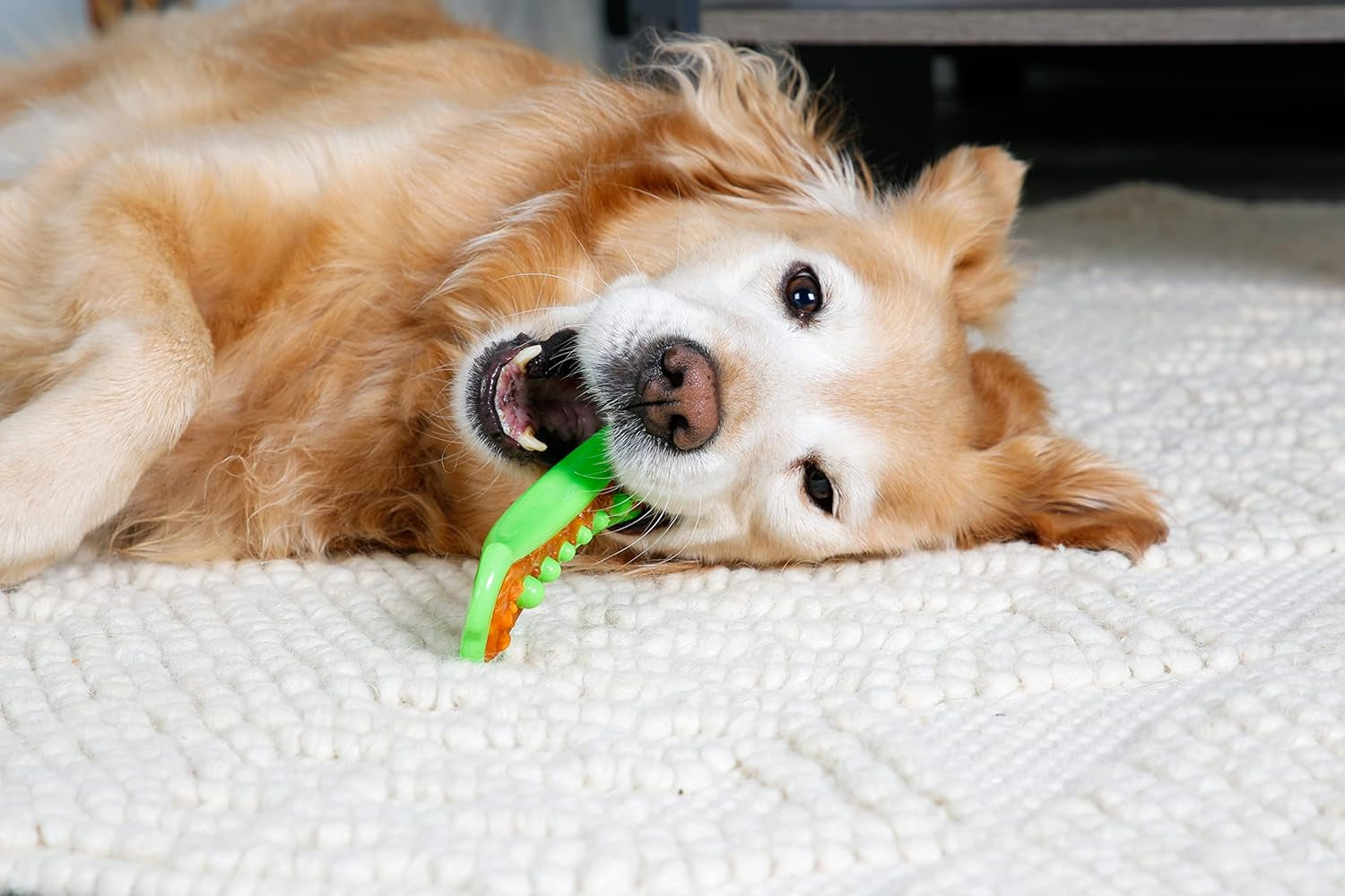 Chew 'N Clean Dental Duo Dog Treat & Chew Toy, Color Varies, Large, 3 Pack