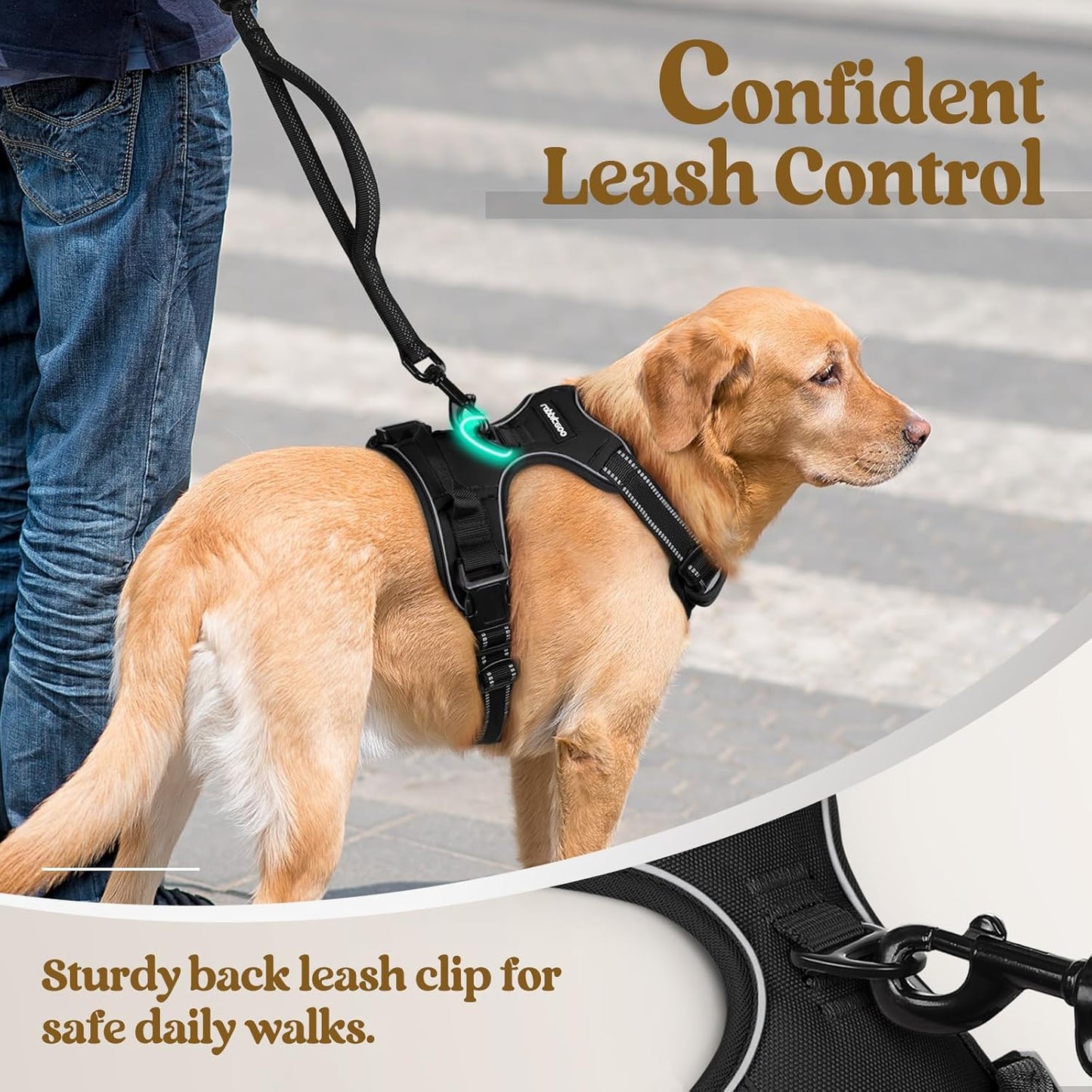 Dog Harness No Pull with 2 Leash Clips, Adjustable Soft Padded, Reflective Oxford No Choke Pet Vest with Easy Control Handle for Medium Sized Dogs, Black, M