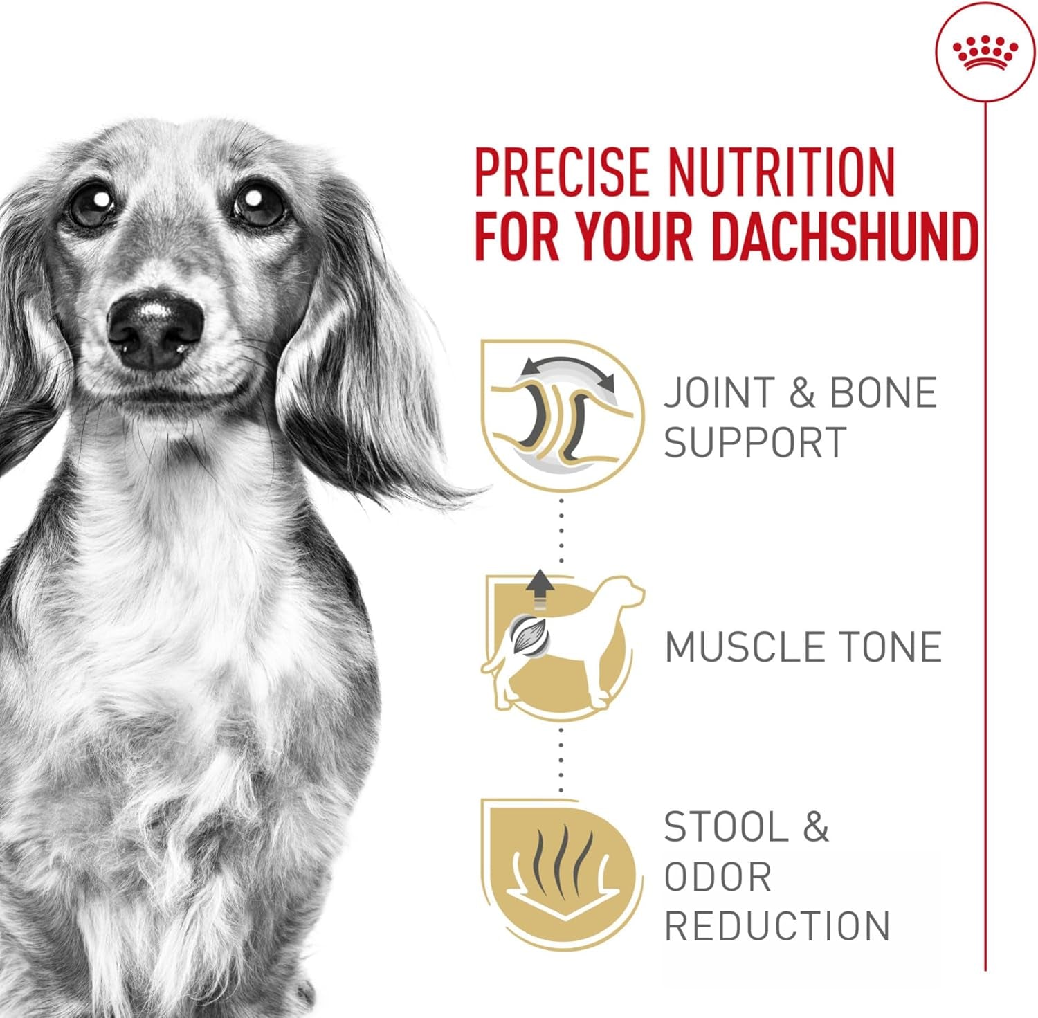 Breed Health Nutrition Dachshund Adult Dry Dog Food, 10 Lb Bag