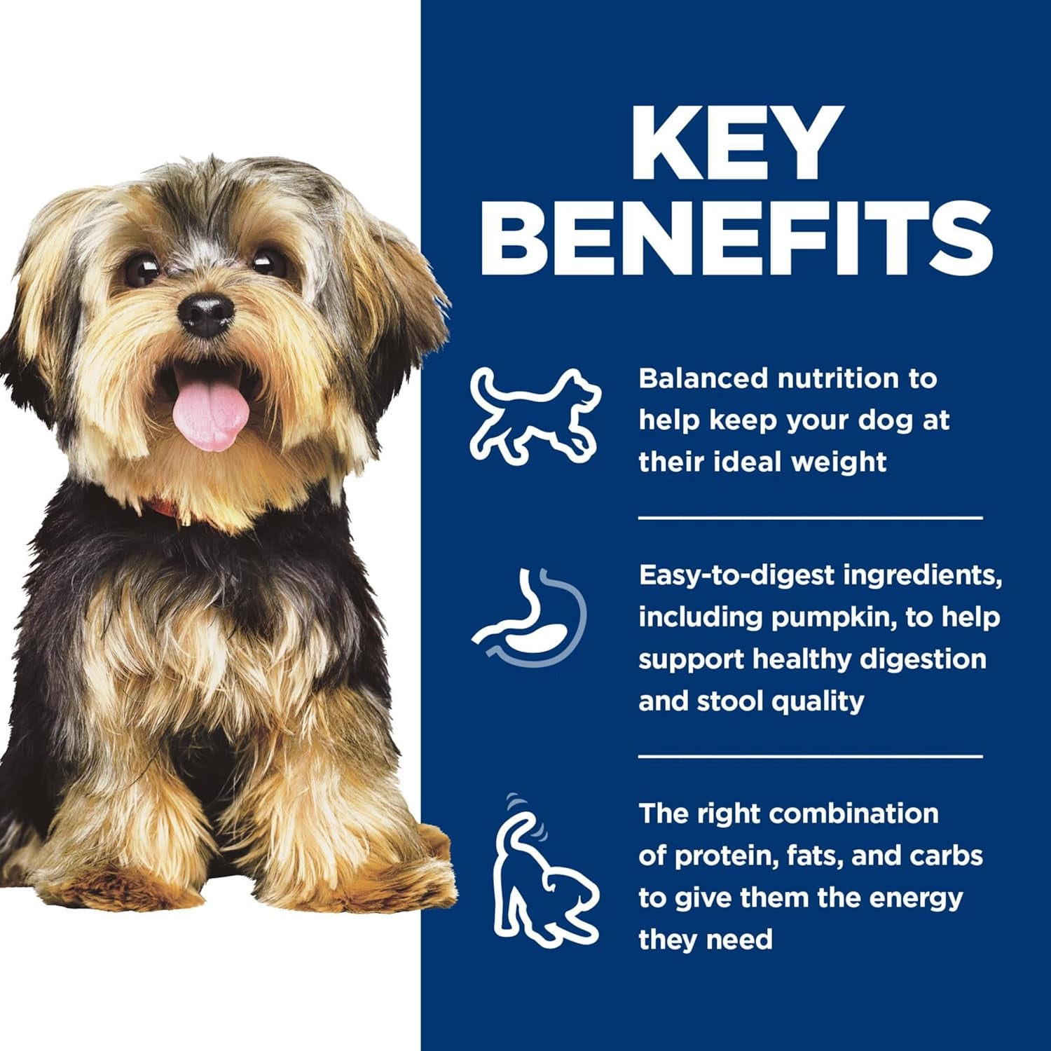 Small & Mini, Adult 1-6, Small & Mini Breeds Premium Nutrition, Wet Dog Food, Variety Pack: Chicken & Vegetables; Salmon & Vegetables Stew, 3.5 Oz Tray Variety Pack, Case of 12