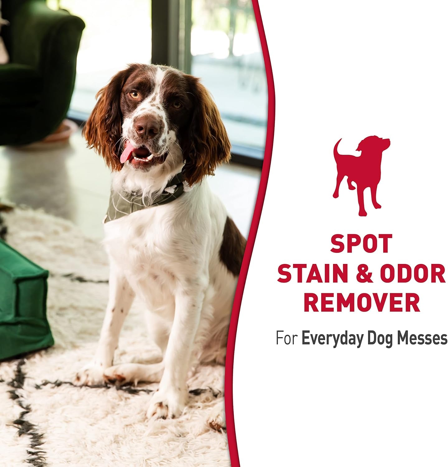 Nature’S Miracle® Stain & Odor Remover, Tough on Dog Urine, Feces, Vomit, Drool and Other Organic Stains and Odors, 1 Gallon