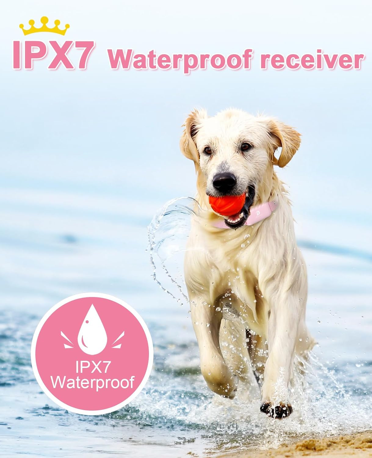 Shock Collar for Dogs - Waterproof Rechargeable Dog Electric Training Collar with Remote for Small Medium Large Dogs with Beep, Vibration, Safe Shock Modes (8-120 Lbs)