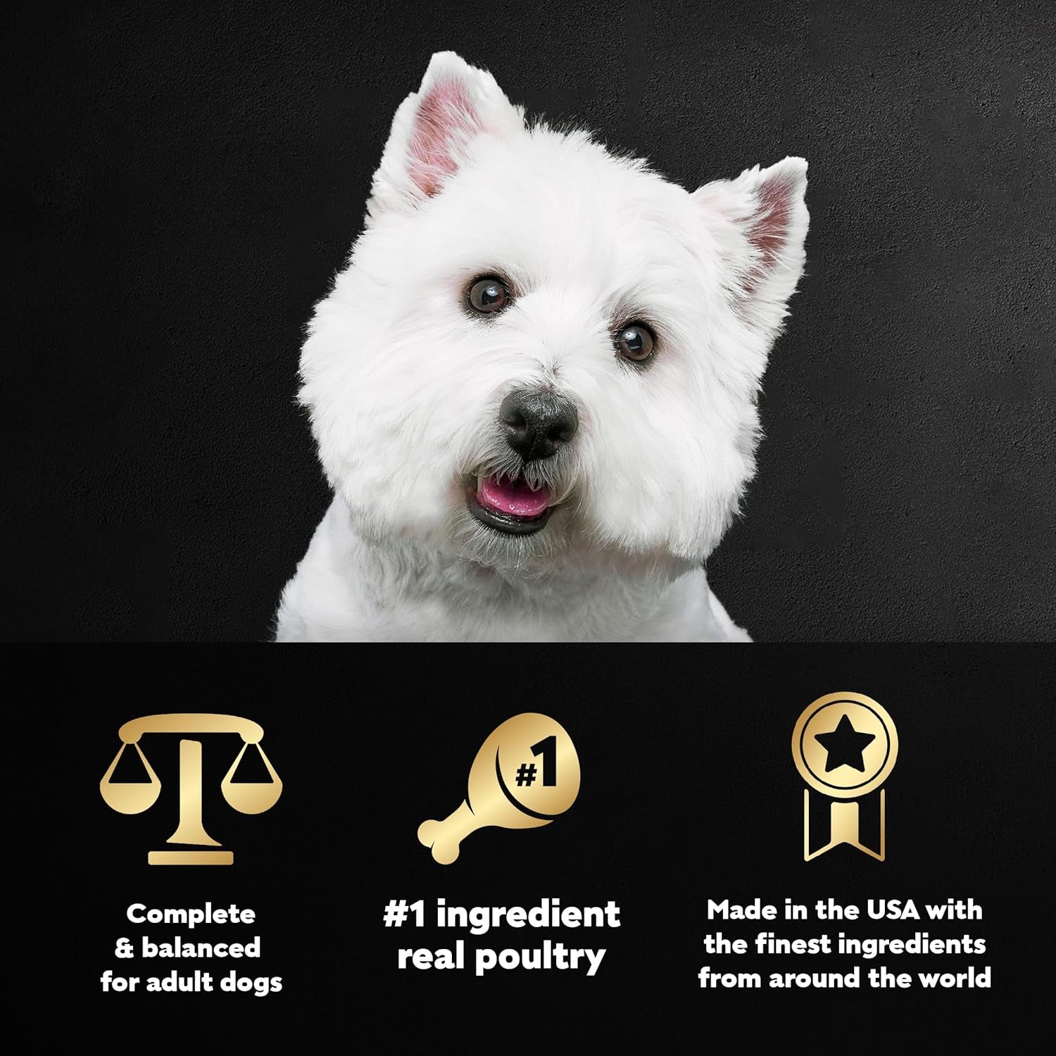 Filets in Gravy Adult Wet Dog Food, Poultry Lovers Multipack, 3.5 Oz. (12 Count, Pack of 2)