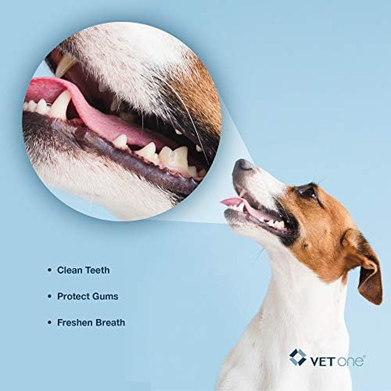 Vetone Duoclenz Enzyme Coated Dog Dental Chews for Large Dogs - Veterinarian Formulated - 30 Count