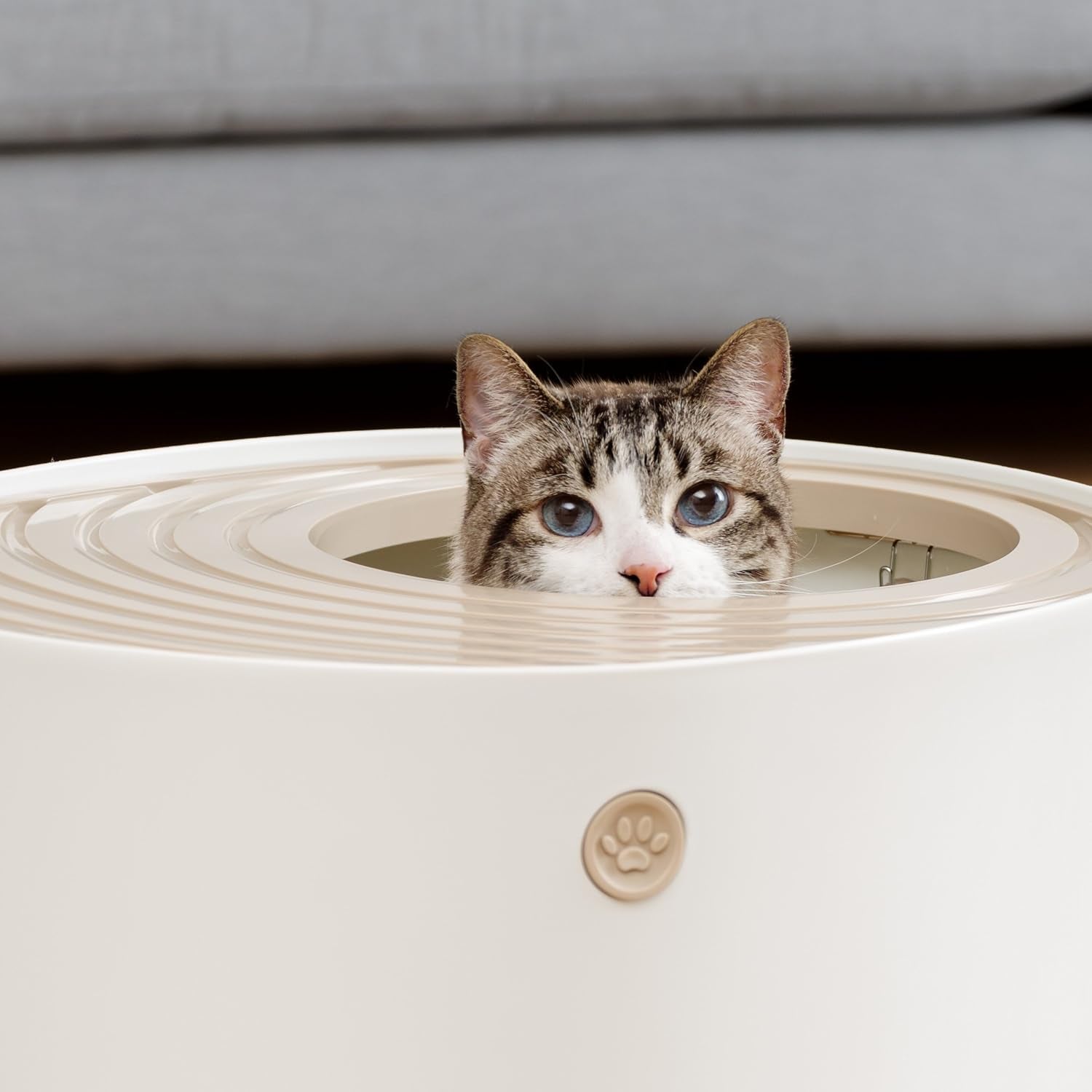 USA Cat Litter Box, Large Top Entry with Litter Catching Lid and Scoop, Dog Proof, Cat Box Enclosure, Beige/White