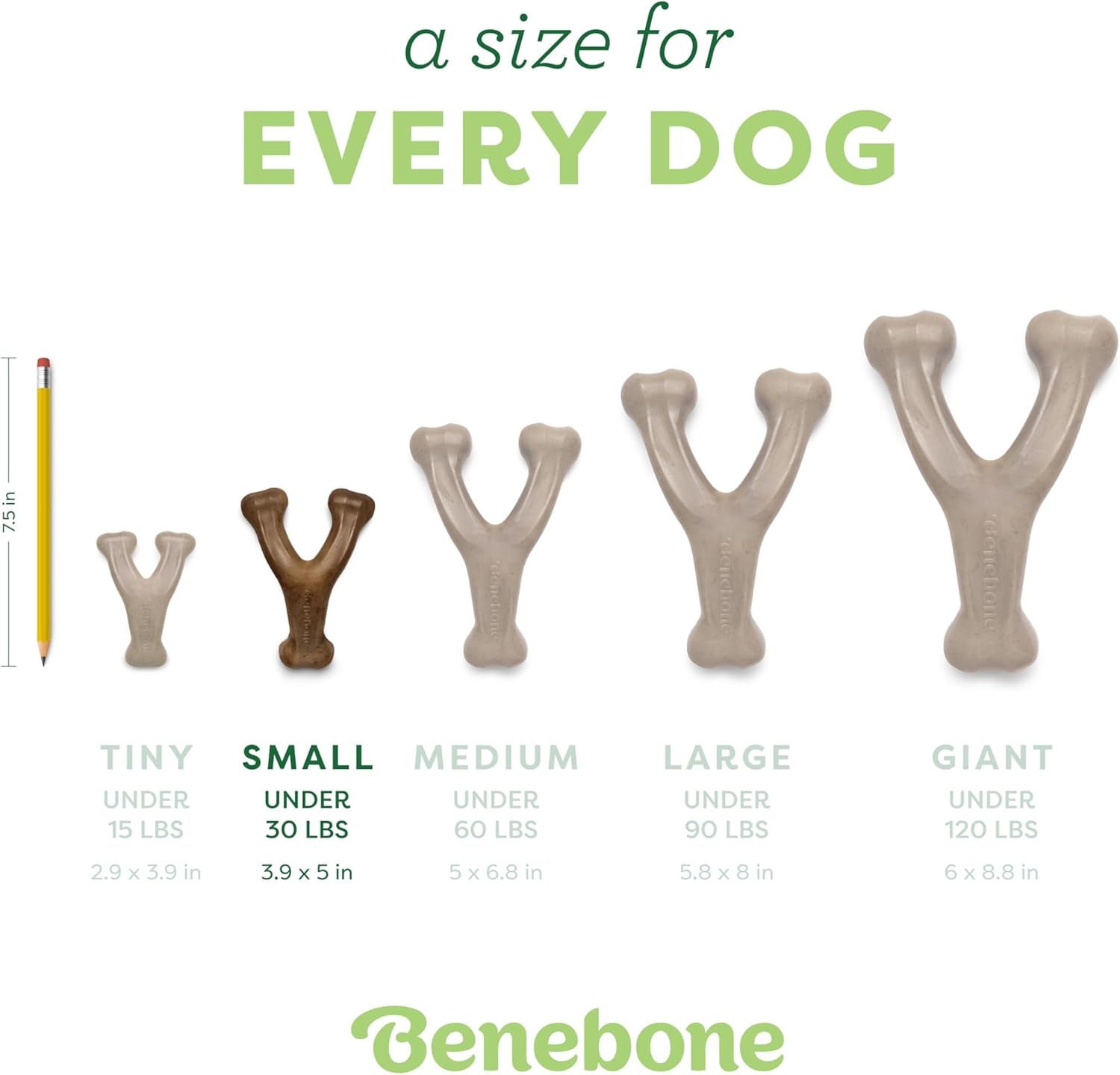 Wishbone Durable Dog Chew Toy for Aggressive Chewers, Made in USA, Small, Real Bacon Flavor