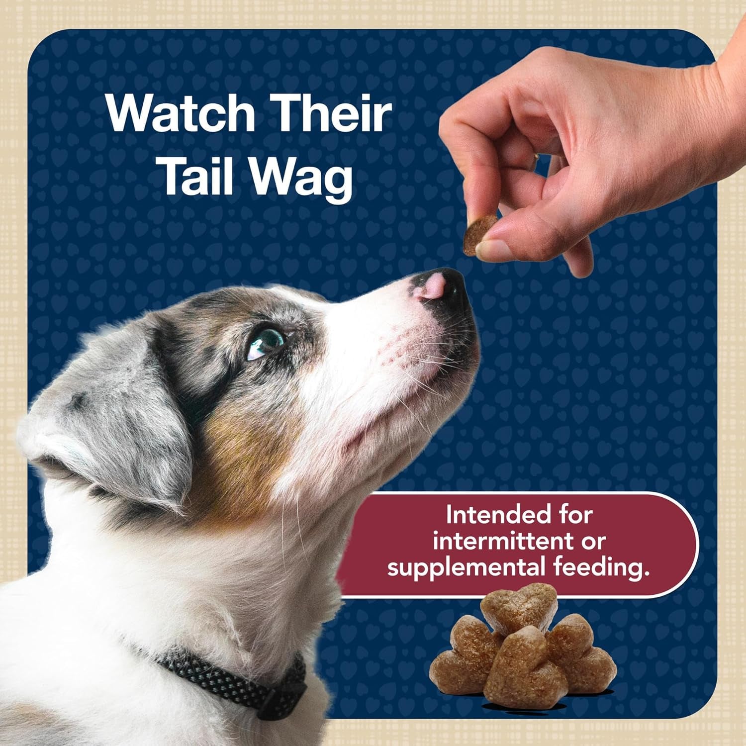 Bits Soft Dog Treats for Training, Made with Natural Ingredients & Enhanced with DHA, Beef Recipe, 11-Oz Bag