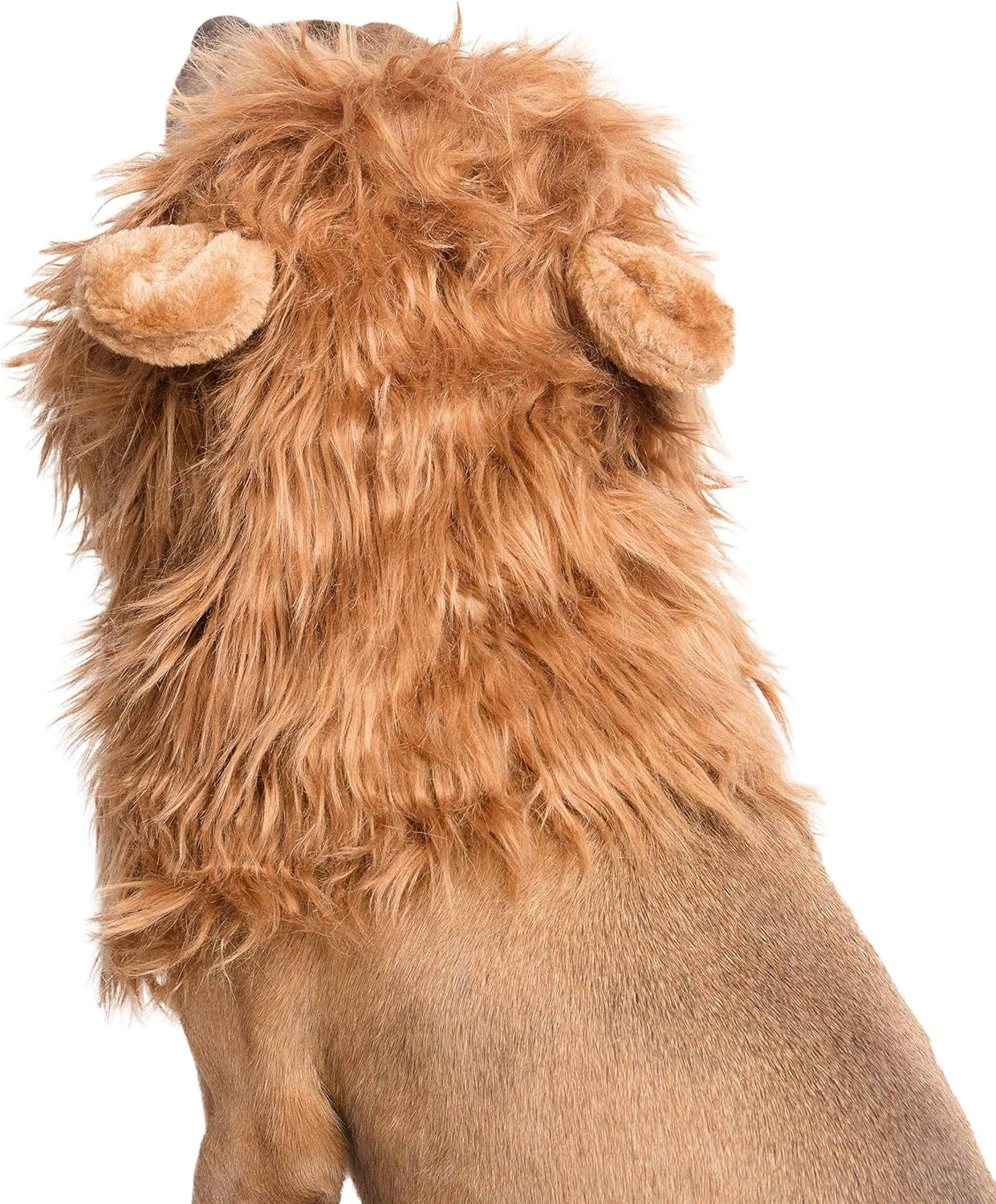 Lion Mane for Dog -Lion Mane Dog Costume by