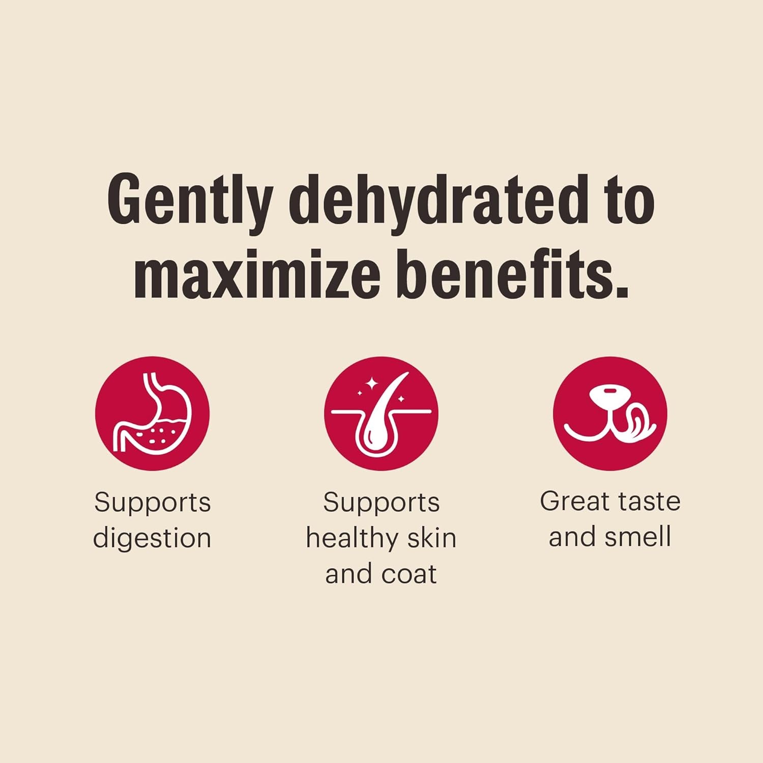 Wholemade™ Whole Grain Beef & Oat Dog Food, 10 Lb Box