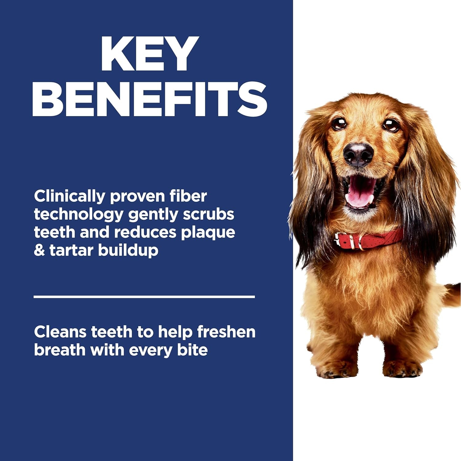 Oral Care, Adult 1-6, Plaque & Tartar Buildup Support, Dry Dog Food, Chicken, Rice, & Barley, 4 Lb Bag