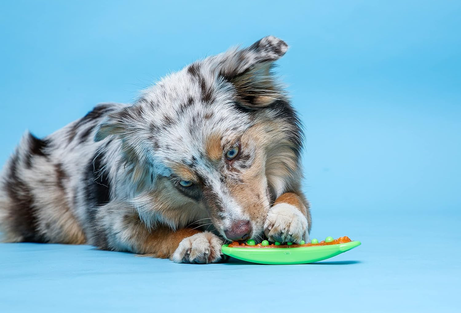 Chew 'N Clean Dental Duo Dog Treat & Chew Toy, Color Varies, Large, 3 Pack