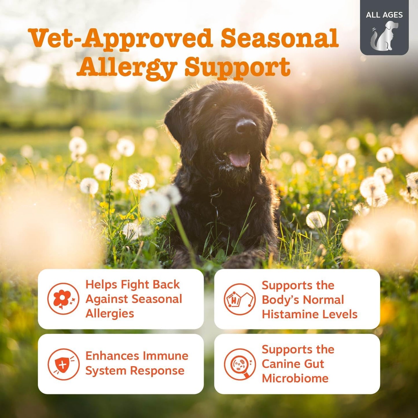 Vet Strength Dog Allergy Relief Chews, Dog Probiotics for Itchy Skin and Ears, Smoked Cheese, 90Ct