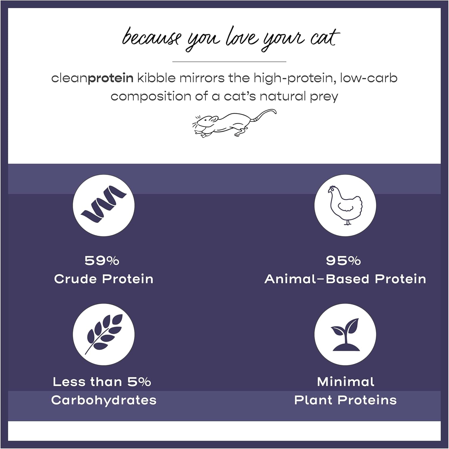 Cleanprotein Chicken Cat Kibble 6.6 Lb. Bag