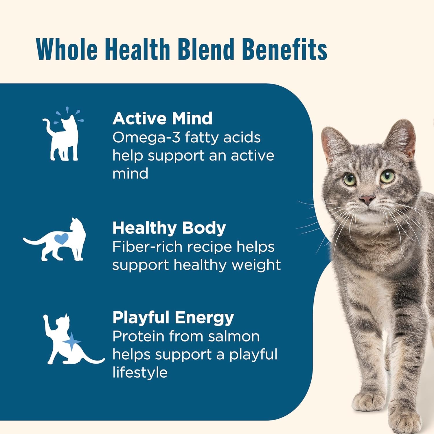 Real Salmon & Brown Rice Recipe Dry Cat Food, 14 Lb. Bag, Packaging May Vary (Rachael Ray)