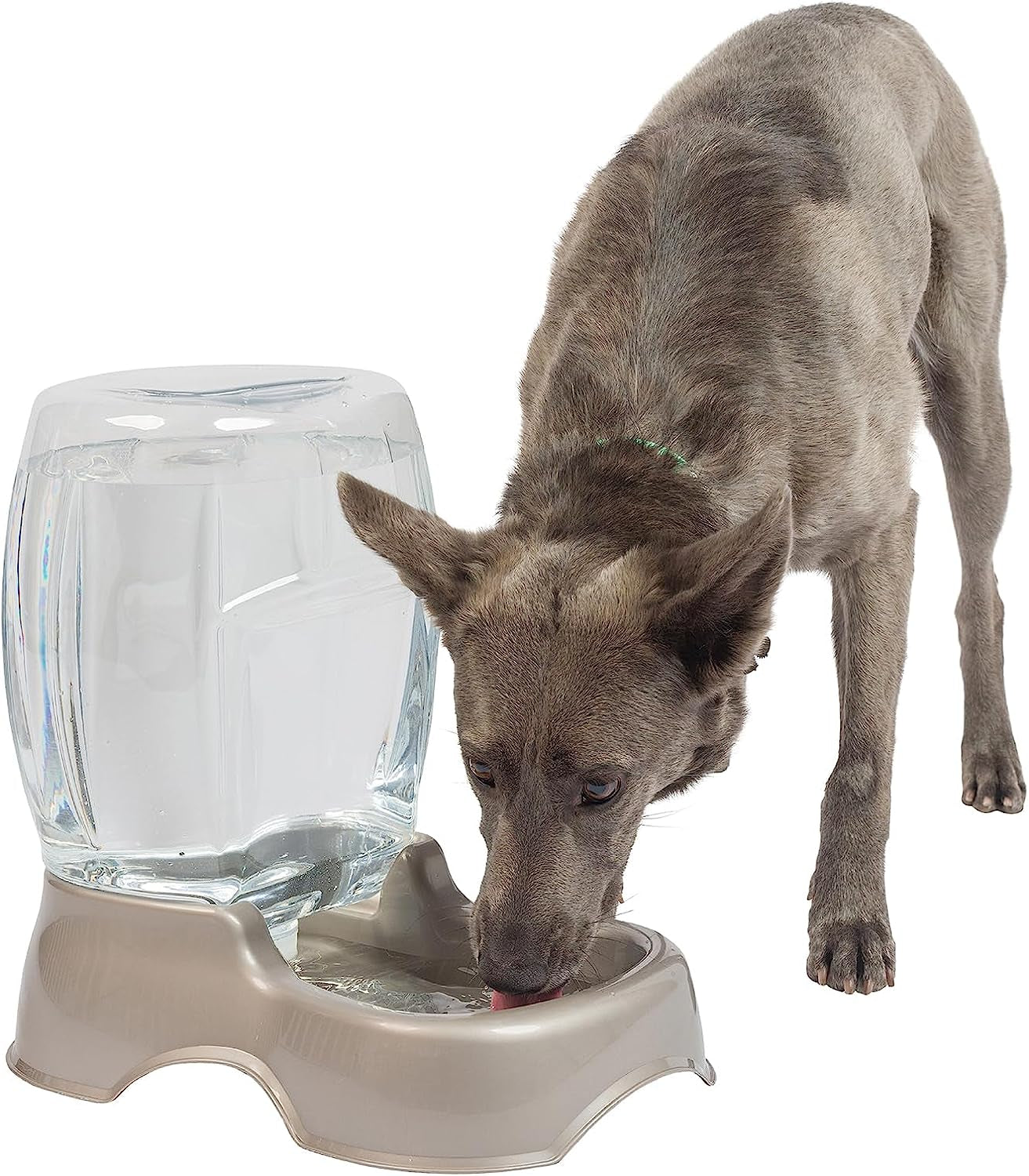 Pet Cafe Cat and Dog Water Dispenser - Water Bowl for Cats and Dogs, USA Made, 3 GAL, Pearl Tan
