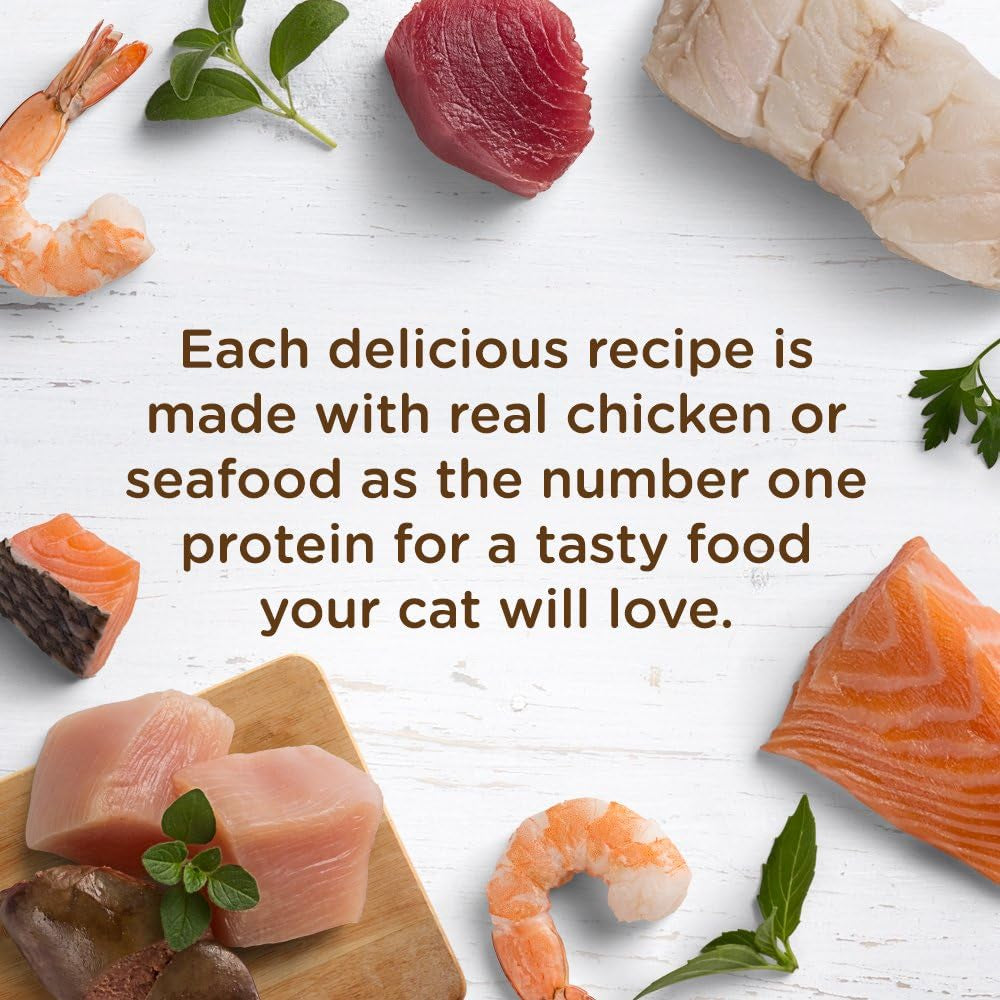 Rachael Ray  Natural Wet Cat Food, Ocean Lovers Variety Pack, 2.8 Ounce Cup (Pack of 12), Grain Free