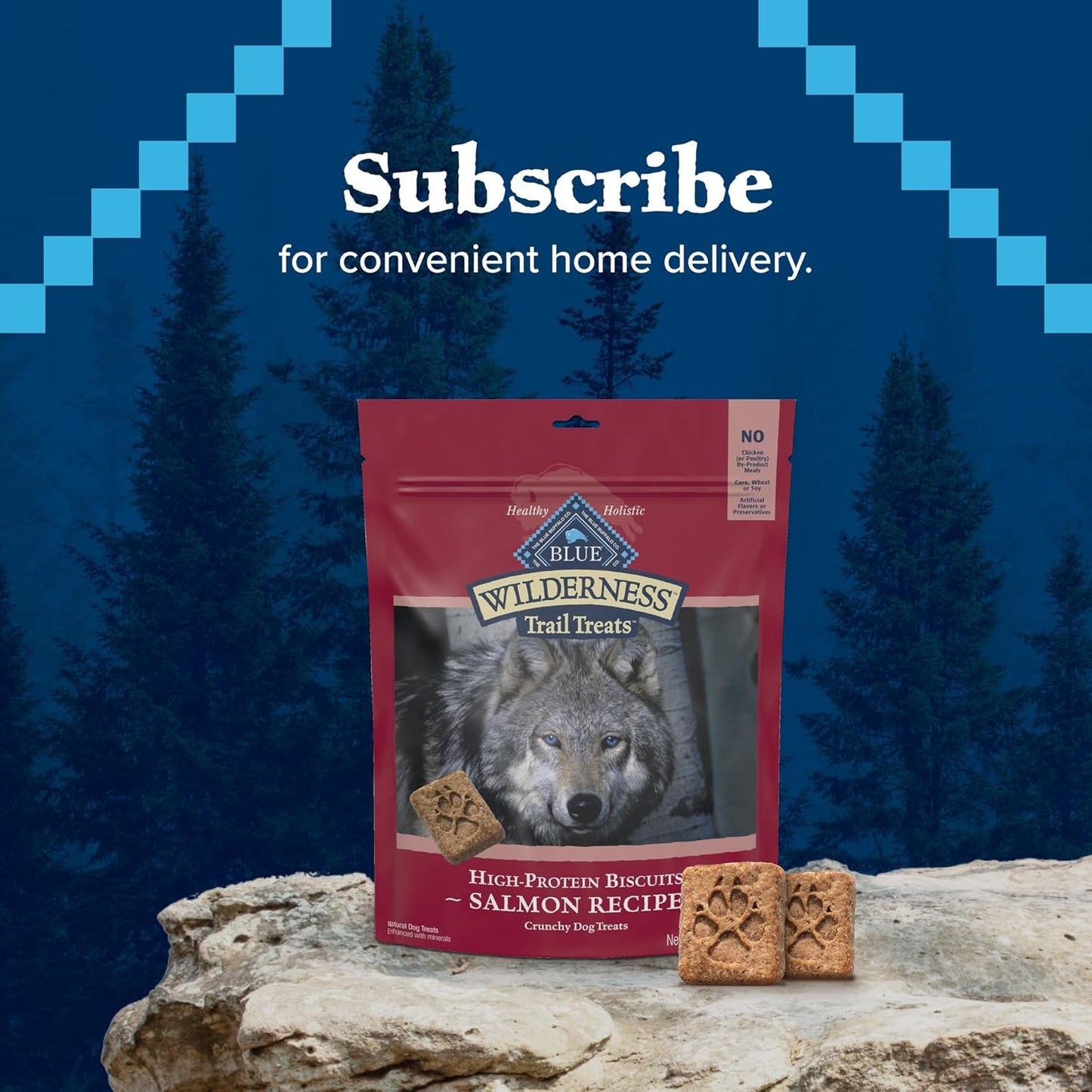 Wilderness Trail Treats Crunchy Dog Biscuits, Grain-Free and High-Protein Dog Treats Made with Natural Ingredients, Salmon Recipe 24-Oz Bag
