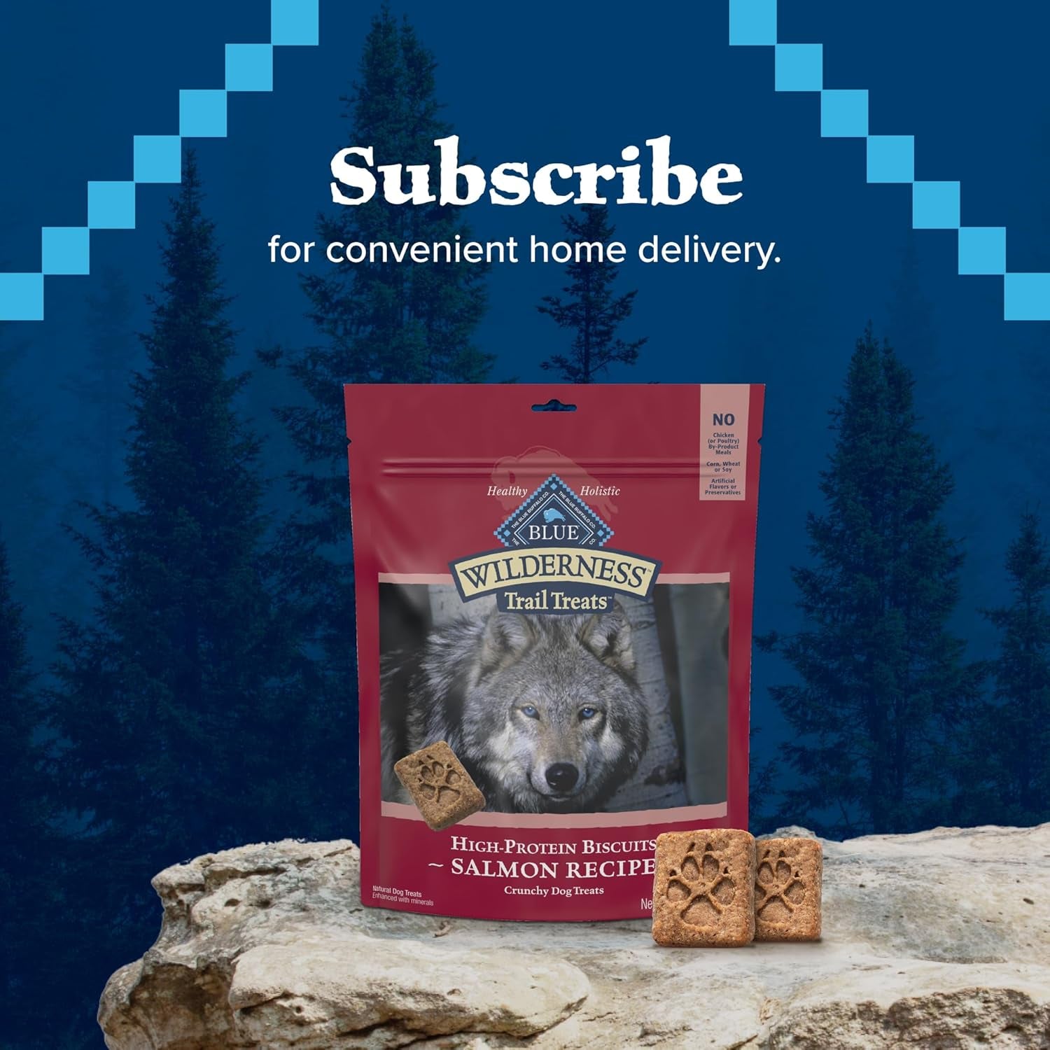 Wilderness Trail Treats Crunchy Dog Biscuits, Grain-Free and High-Protein Dog Treats Made with Natural Ingredients, Salmon Recipe 24-Oz Bag