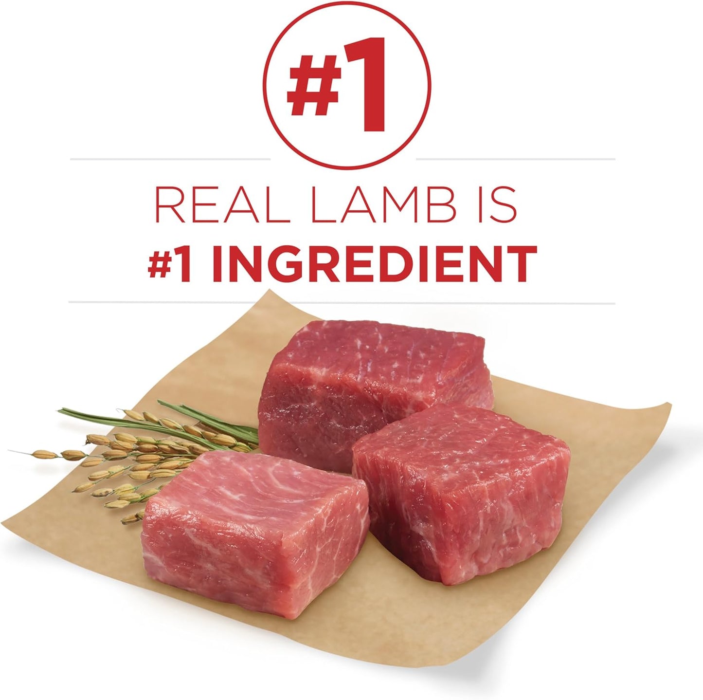 Dry Dog Food Lamb and Rice Formula - 16.5 Lb. Bag