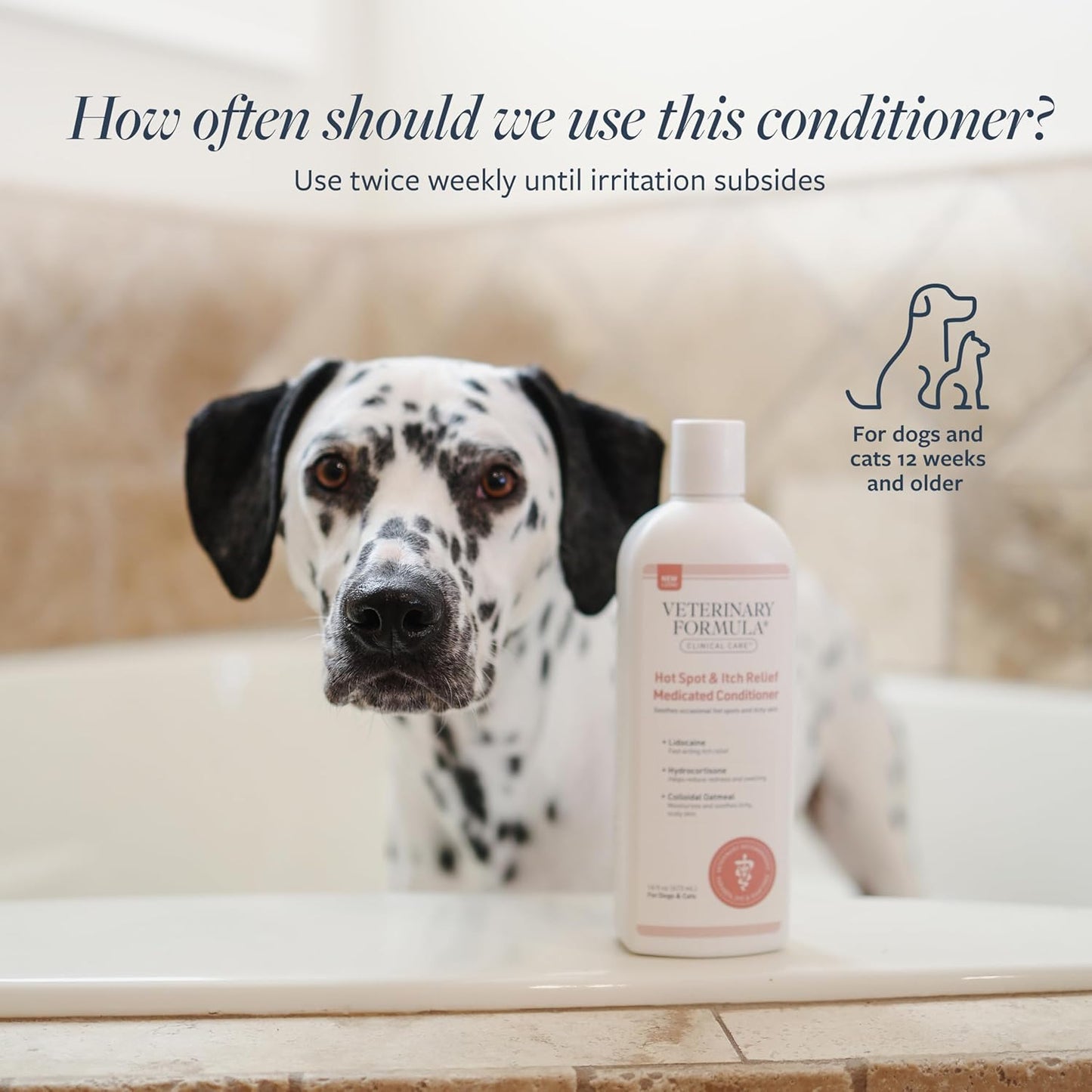 Clinical Care Hot Spot & Itch Relief Cat & Dog Medicated Conditioner, 16 Oz – Oatmeal Conditions Skin for a Lustrous Coat, Formulated to Help Alleviate Itchy Skin