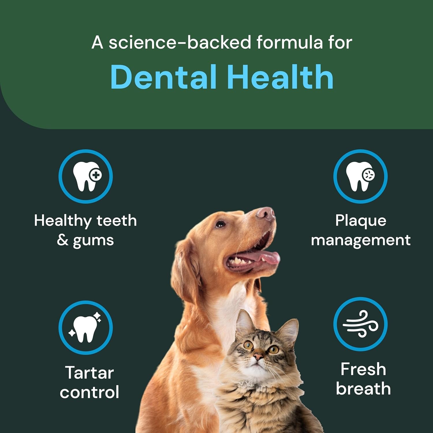Dental Care Powder - Dental Supplement Powder for Dogs & Cats - Supports Breath Freshening - Healthy Teeth & Gums - Easy-To-Use Oral Hygiene for Pets - 16 Oz