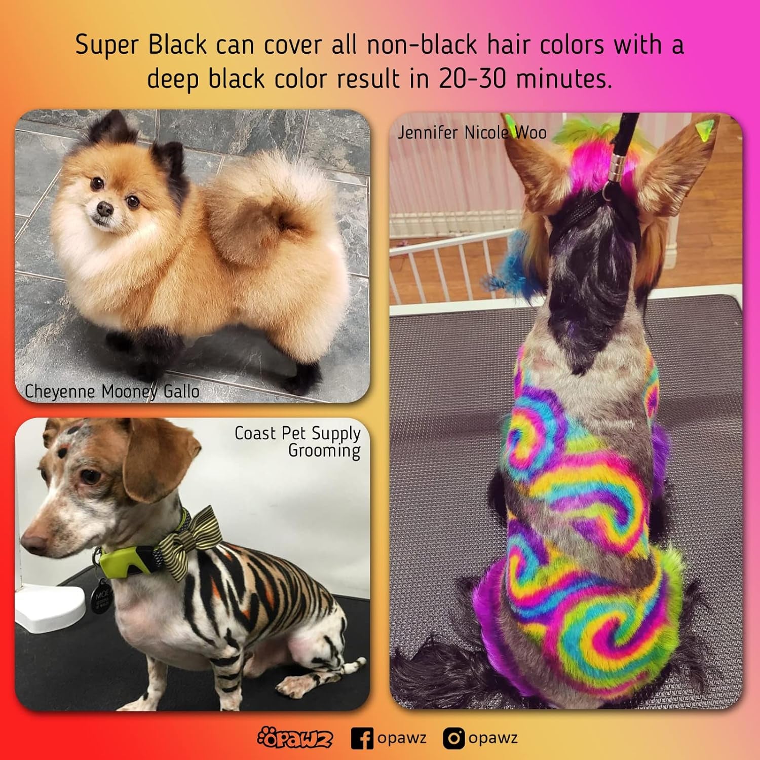 Permanent Dog Hair Dye, Pet Hair Dye Safely Used by Grooming Salons for a Decade, Pet Safe Dye Lasts over 20 Washes, Bright Color for Dogs and Horses (Super Black)