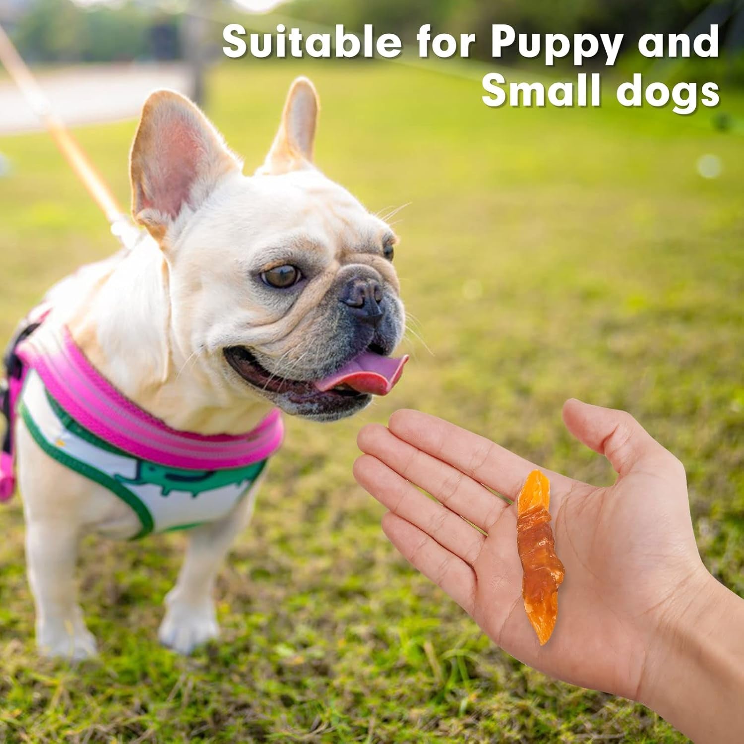 Dog Treats Rawhide Free Chicken Wrapped Sweet Potato Snacks, Gluten & Grain Free, Treats for Puppy and Small Dogs, (Chicken, 1.56 Pound-Pack of 1)