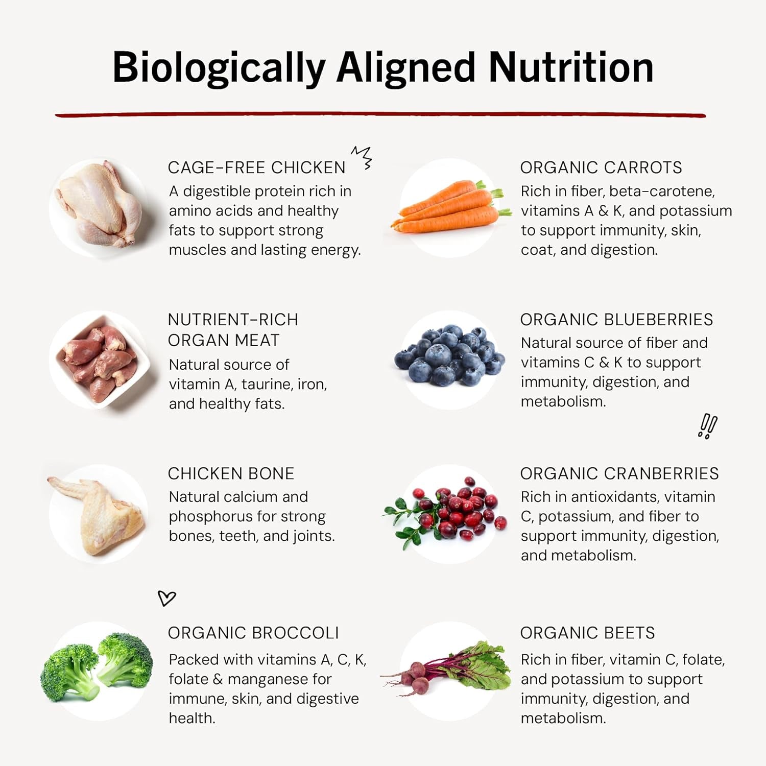 Freeze-Dried Raw Dinner Patties - Chicken Recipe - High Protein Grain-Free Puppy & Dog Food - Perfect for Picky Eaters - 14 Oz