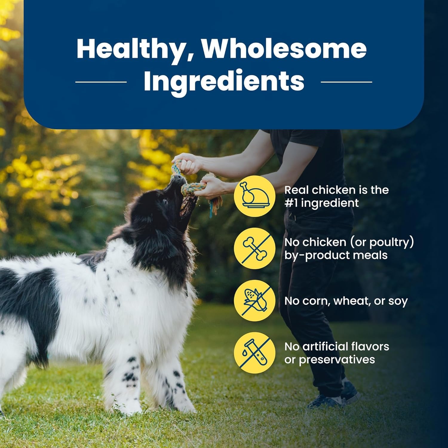Life Protection Formula Natural Adult Healthy Weight Dry Dog Food, Chicken and Brown Rice 15-Lb