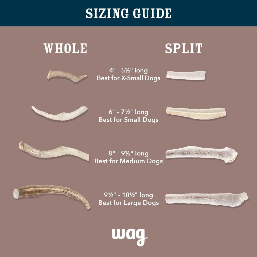 Amazon Brand -  Split Elk Antler, Naturally Shed, Long Lasting for Aggressive Chewers, Medium (Best for Dogs 15-30 Lbs)