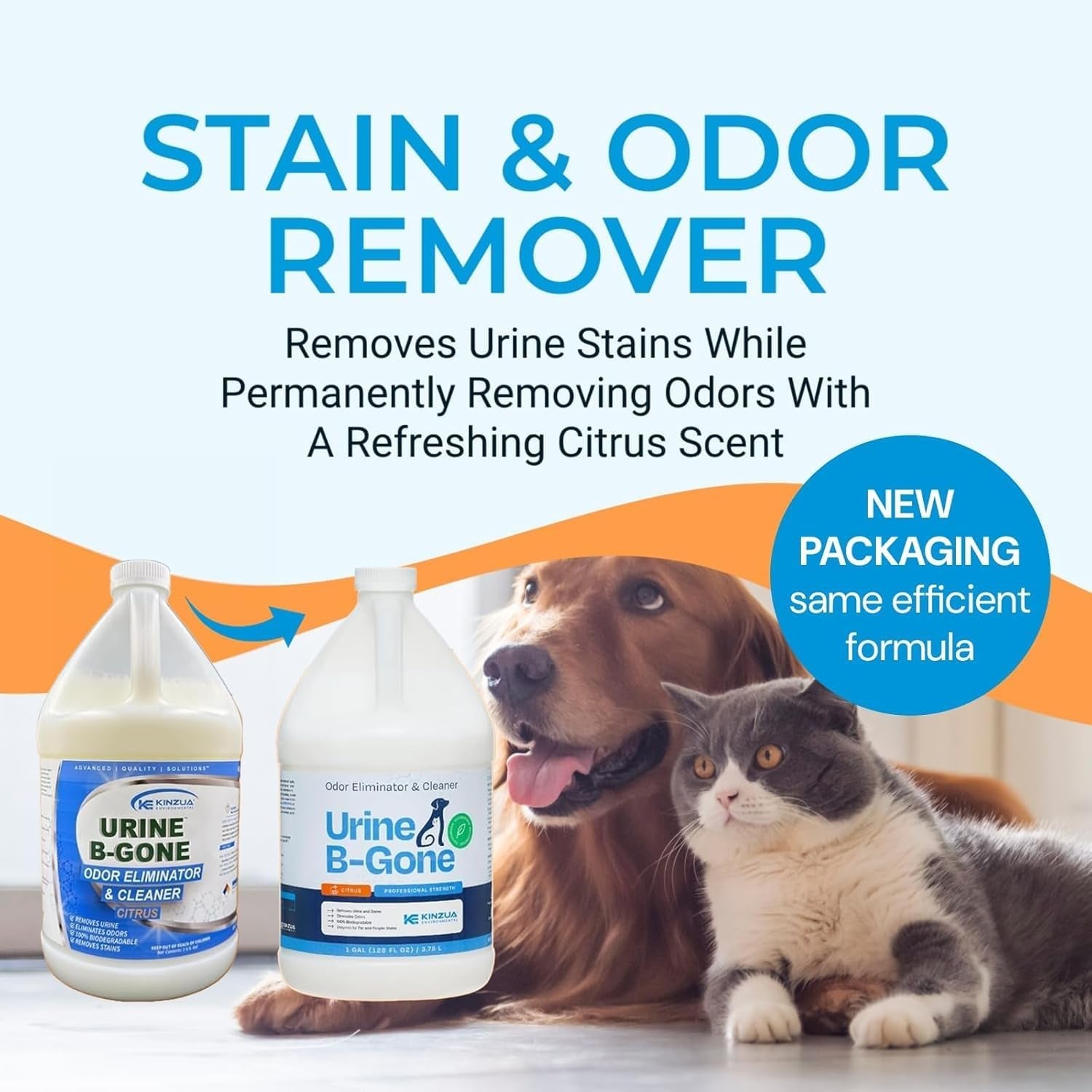 Urine B-Gone, Professional Enzyme Odor Eliminator & Pet Stain Remover, Human, Cat & Dog Urine Cleaner, Effective on Laundry, Carpets & More, Citrus Scent, 1 Gallon