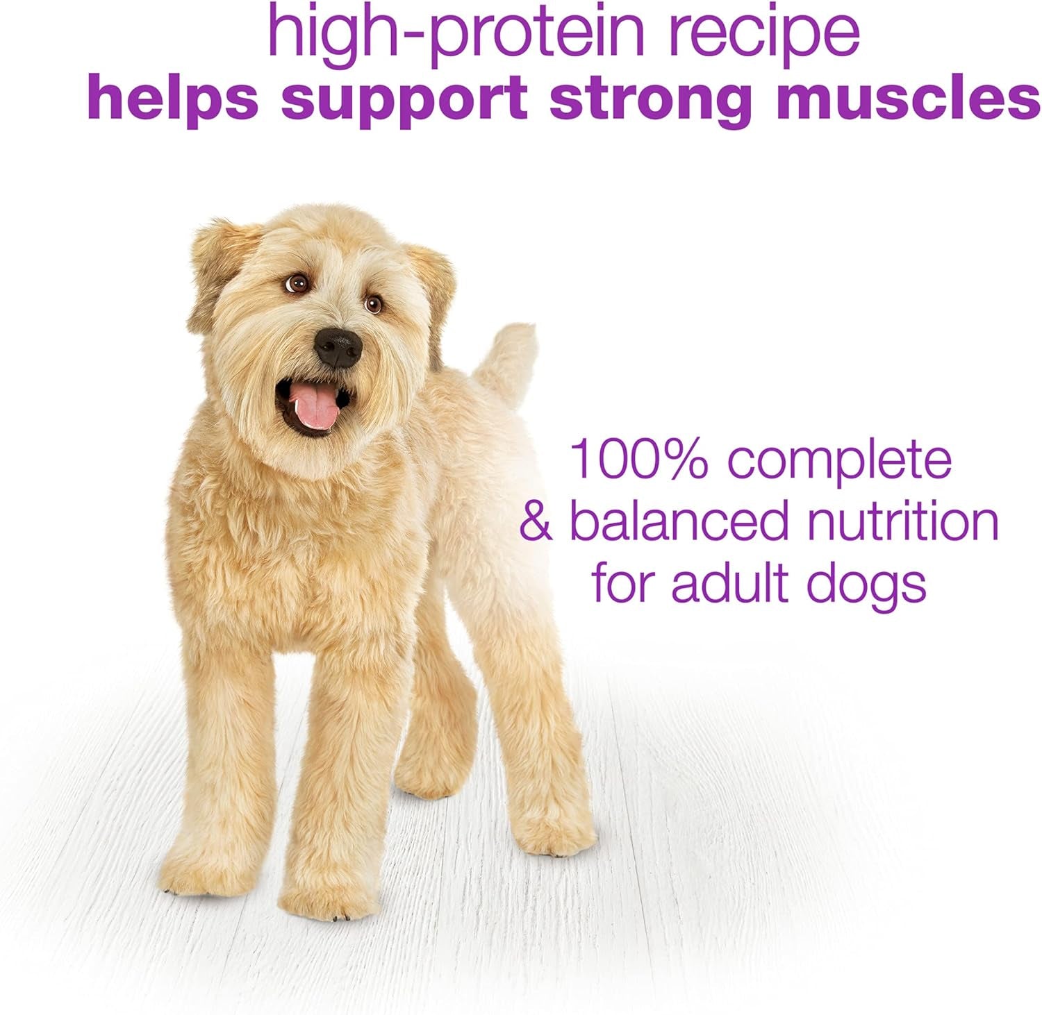 Purina  Wet Dog Food Variety Pack, Chopped Blends - (12) 10 Oz. Tubs