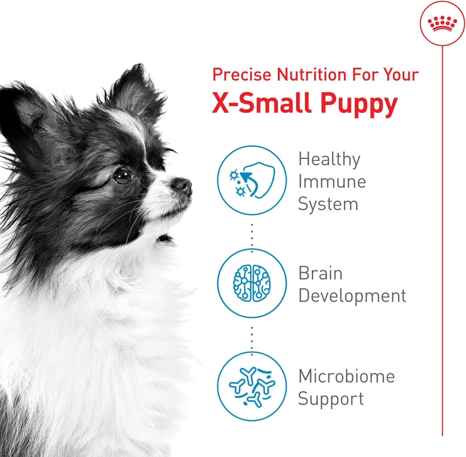 Size Health Nutrition X-Small Puppy Dry Dog Food, 3 Lb Bag