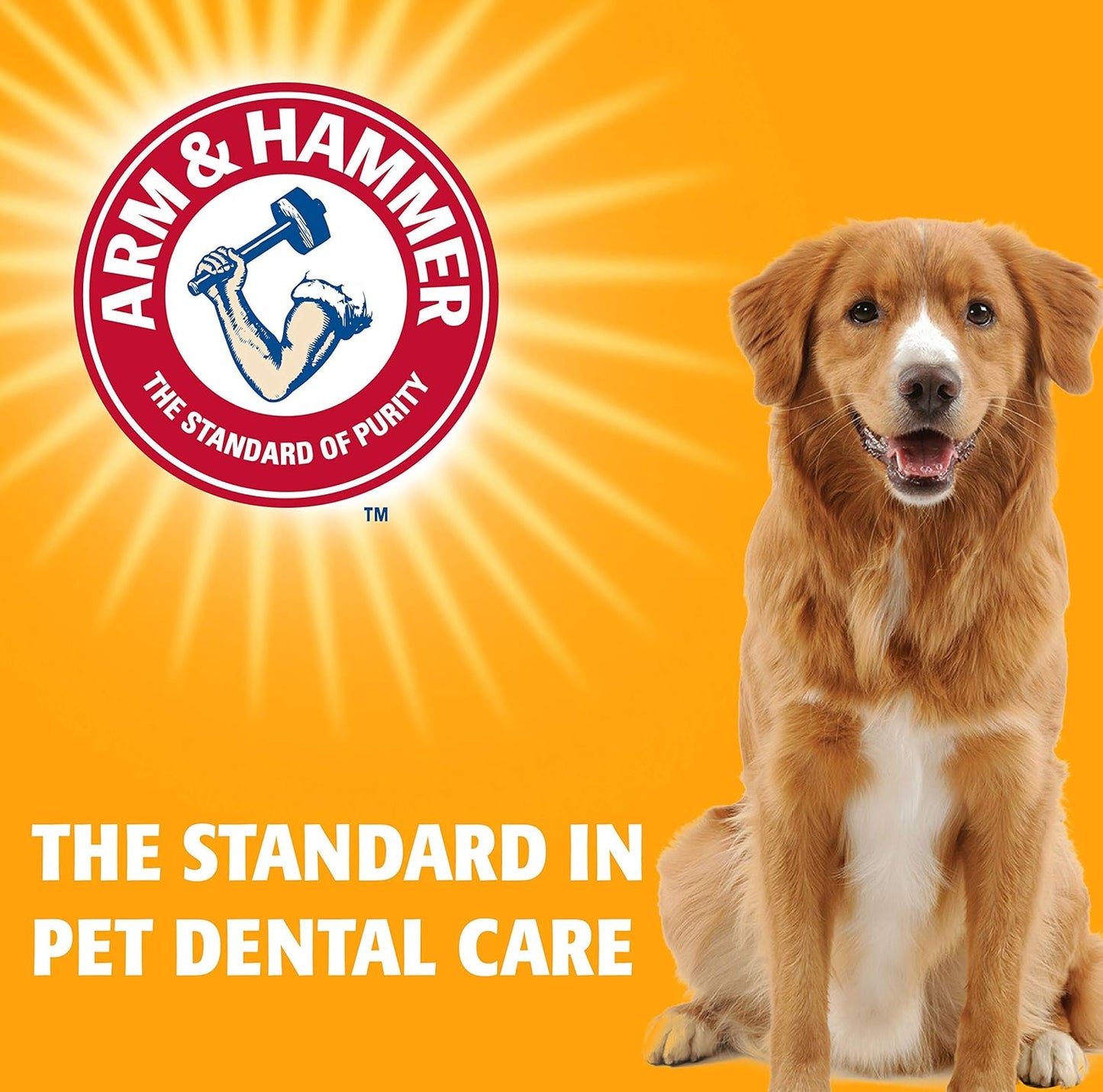 for Pets Fresh Breath Enzymatic Toothpaste for Dogs, Vanilla Ginger Flavor | Dog Toothpaste for All Dogs in a Flavor Dogs Will Love | 2.5 Ounces - 2 Pack