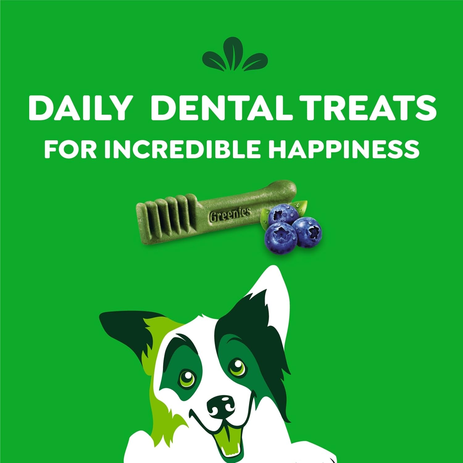 Regular Dental Dog Treats, Blueberry Flavor, 12 Oz. Pack (12 Treats)