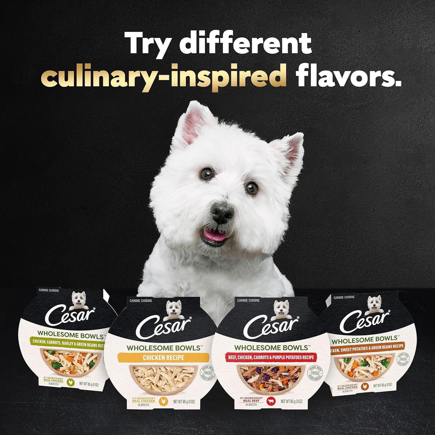 Wholesome Bowls Adult Wet Dog Food, Chicken Recipe, 3 Oz. (10 Count, Pack of 1)