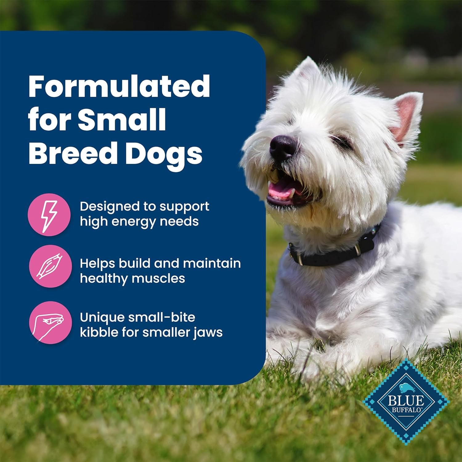 Life Protection Formula Adult Small Breed Dry Dog Food, Supports High Energy Needs, Made with Natural Ingredients, Chicken & Brown Rice Recipe, 15-Lb Bag