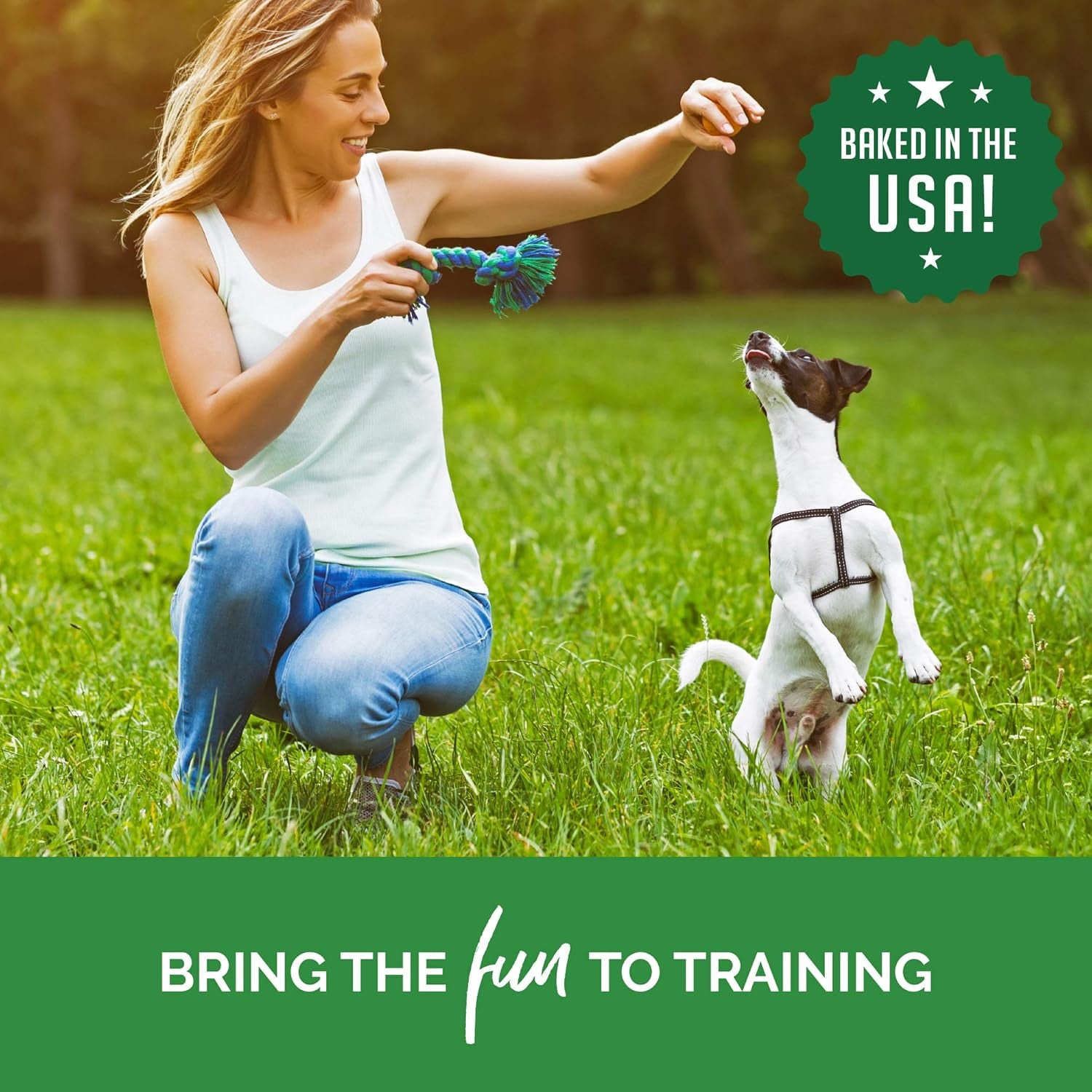 Trainers 10 Oz. Bag of Training Bites Soft & Chewy Dog Treats Made with Chicken Flavor